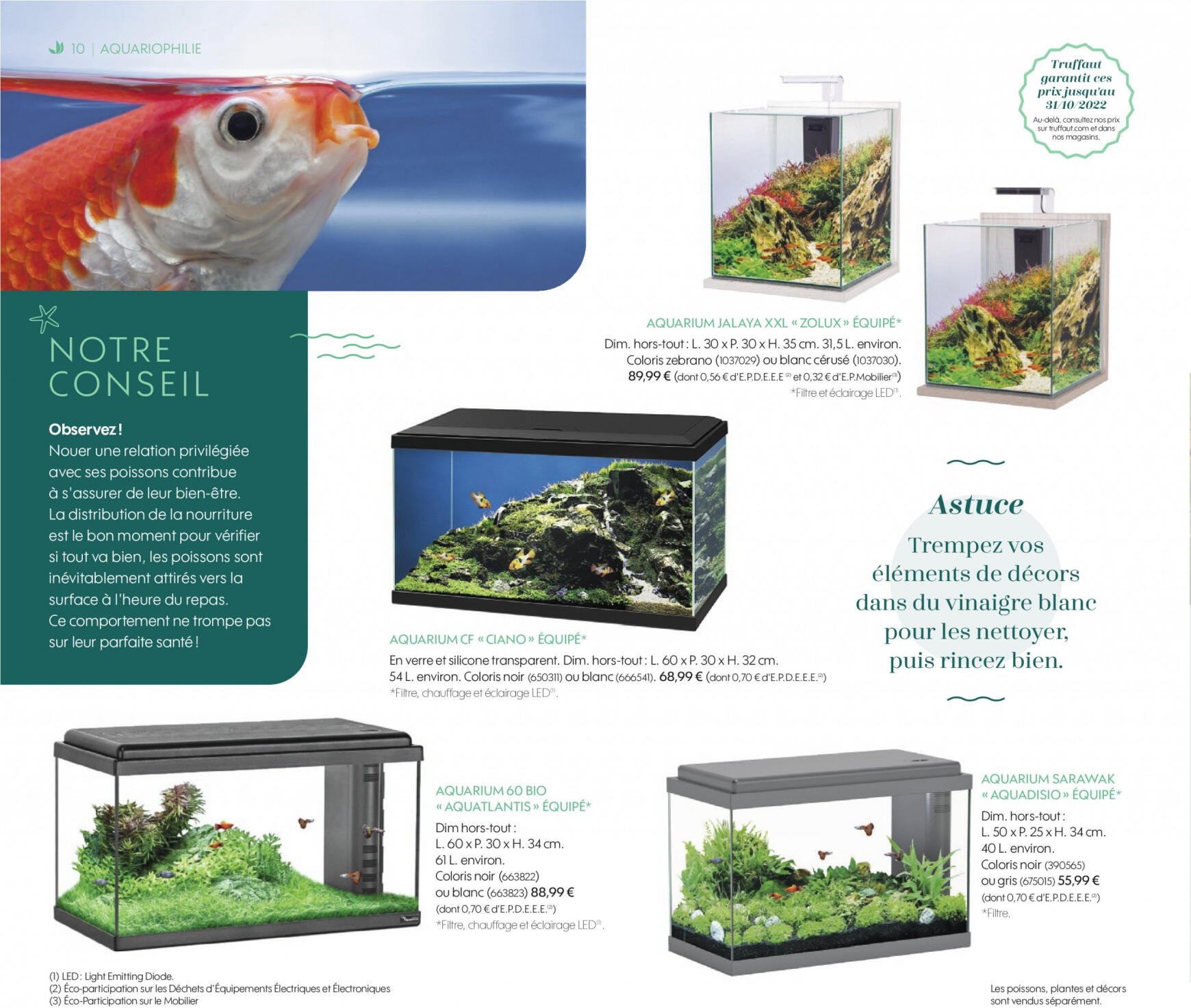 truffaut - Truffaut - Aquariums - Terrariums - page: 10