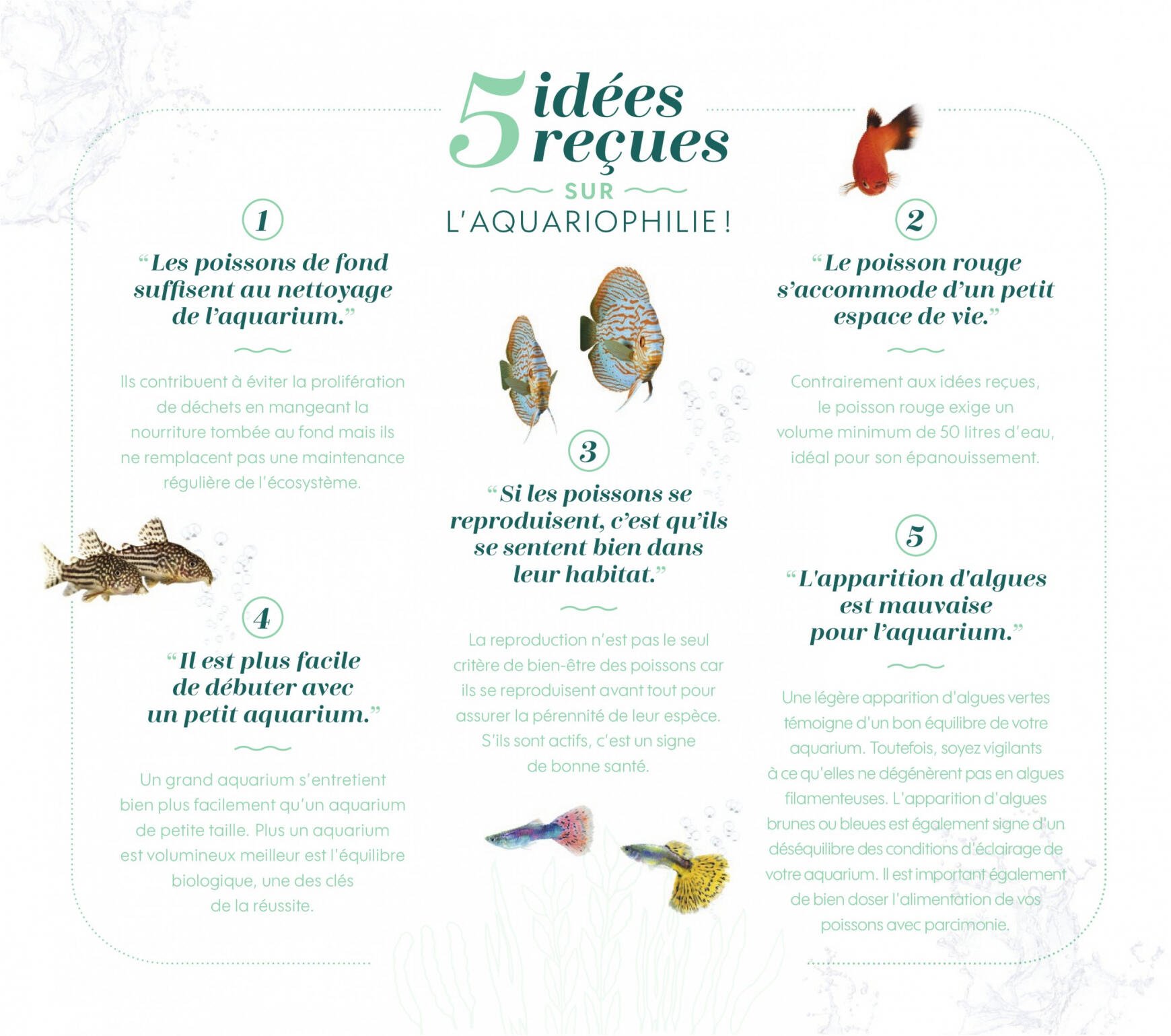 truffaut - Truffaut - Aquariums - Terrariums - page: 15