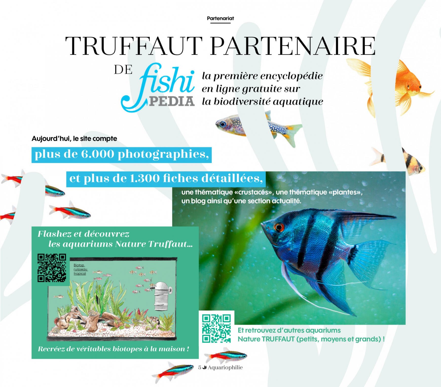 truffaut - Truffaut Aquariums - Terrariums - page: 5