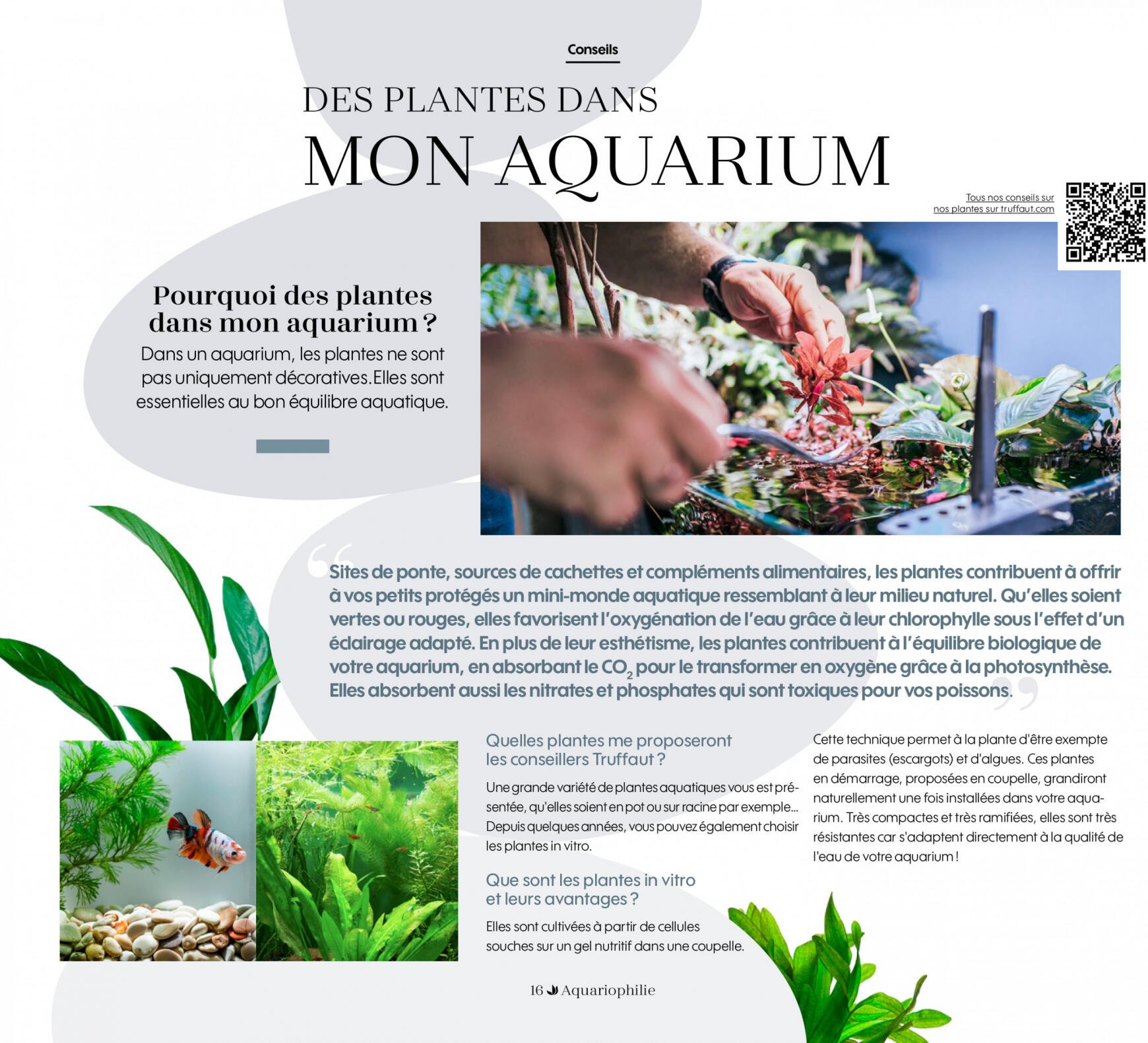 truffaut - Truffaut Aquariums - Terrariums - page: 16