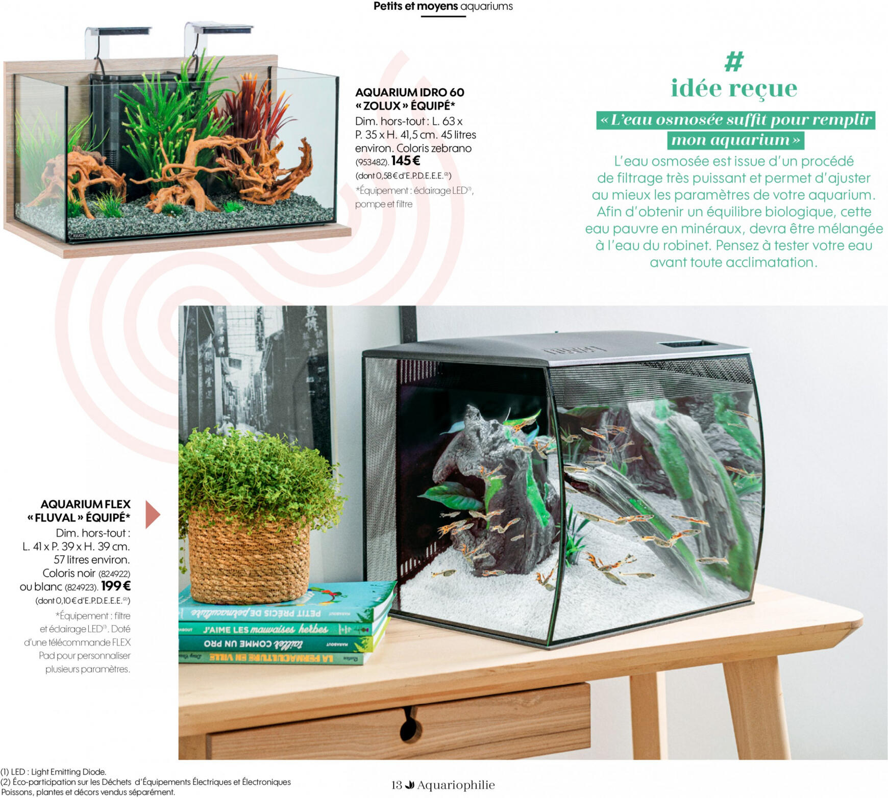 truffaut - Truffaut Aquariums - Terrariums - page: 13