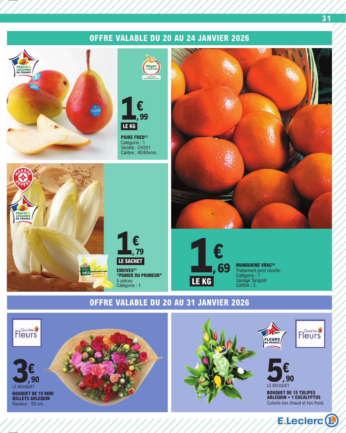 e-leclerc - Catalogue E.Leclerc valable du 20/01 au 31/01 - page: 31