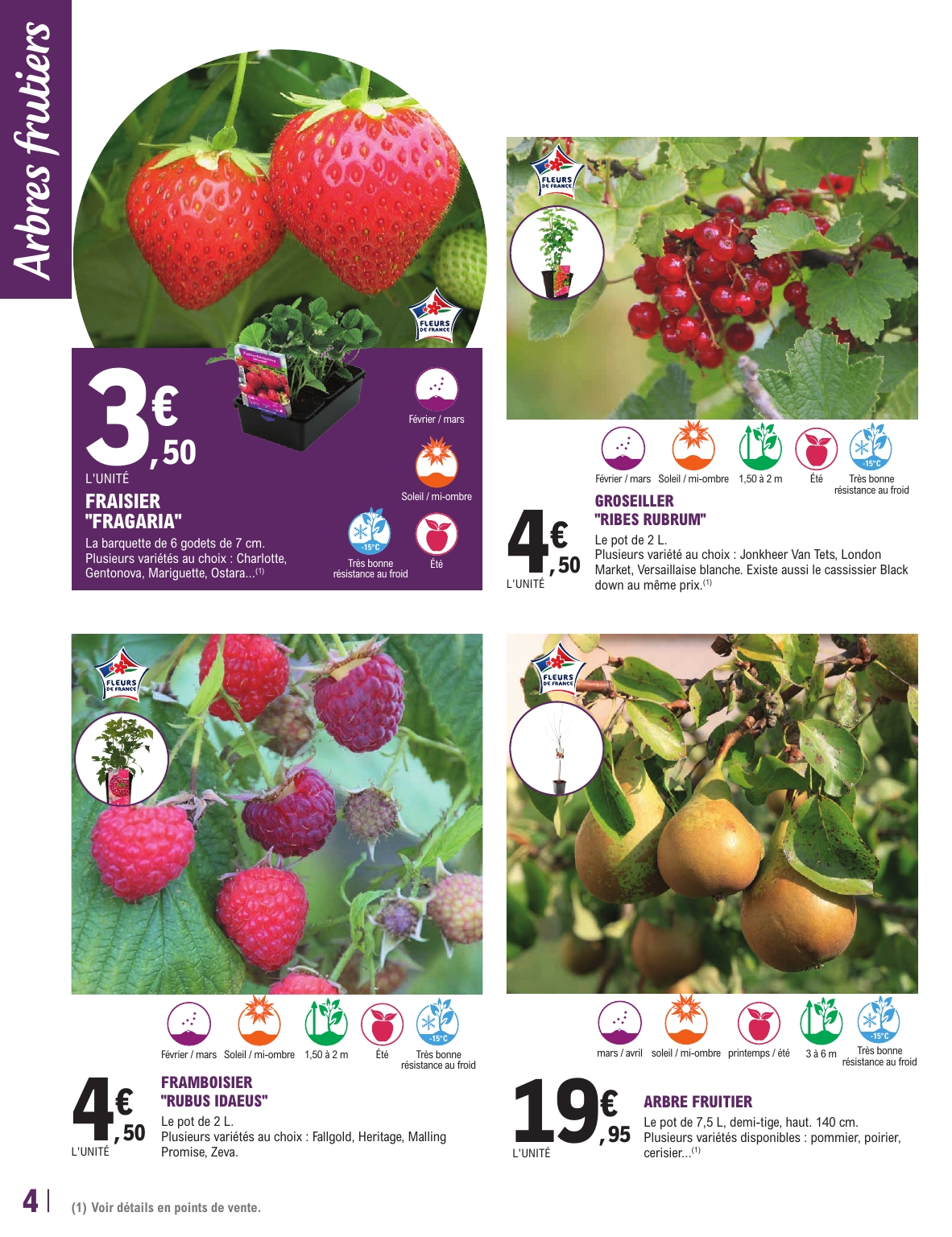 e-leclerc - Catalogue E.Leclerc - Trafic Jardi Printemps valable du 17/02/2026 au 28/02/2026 - page: 4