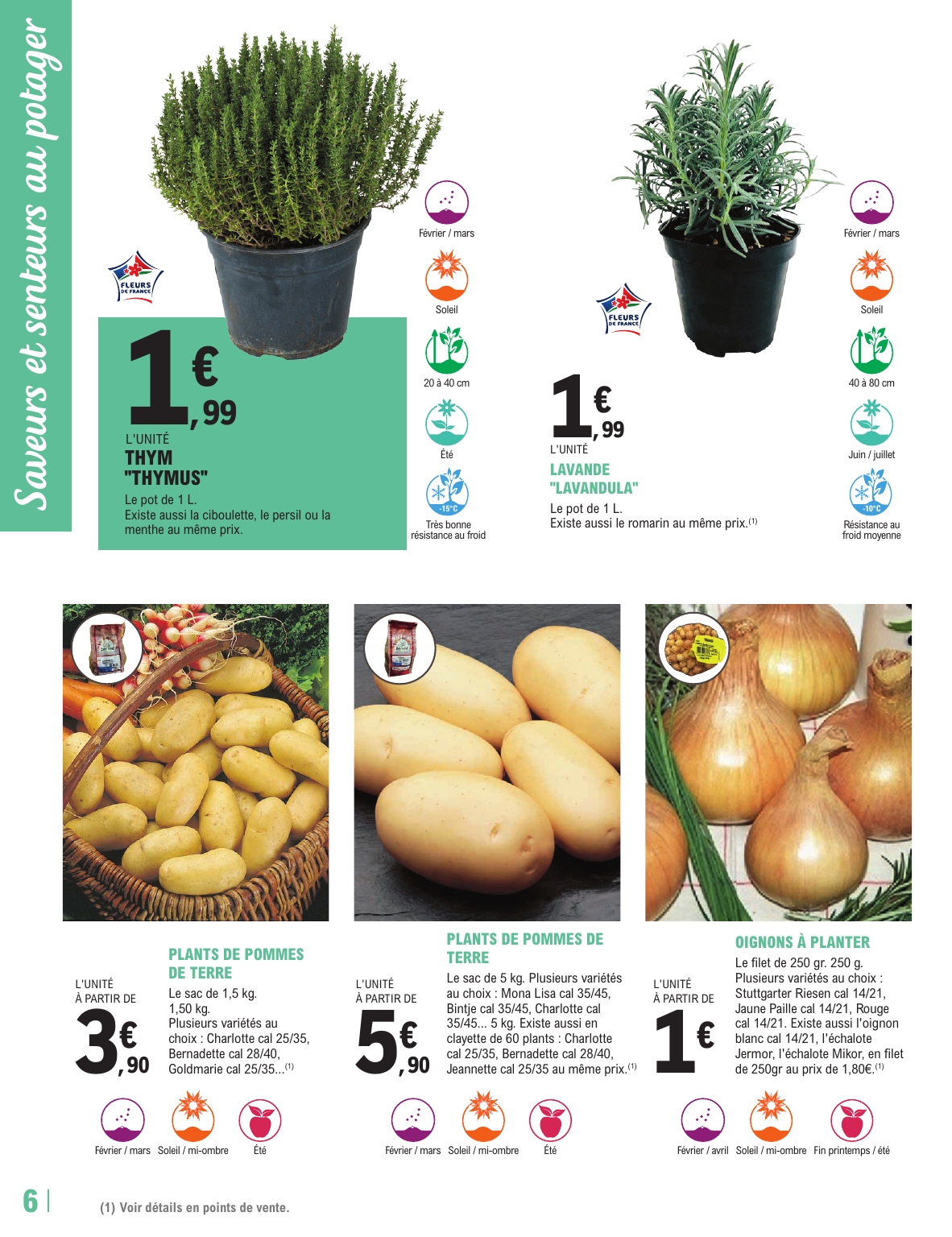 e-leclerc - Catalogue E.Leclerc - Trafic Jardi Printemps valable du 17/02/2026 au 28/02/2026 - page: 6