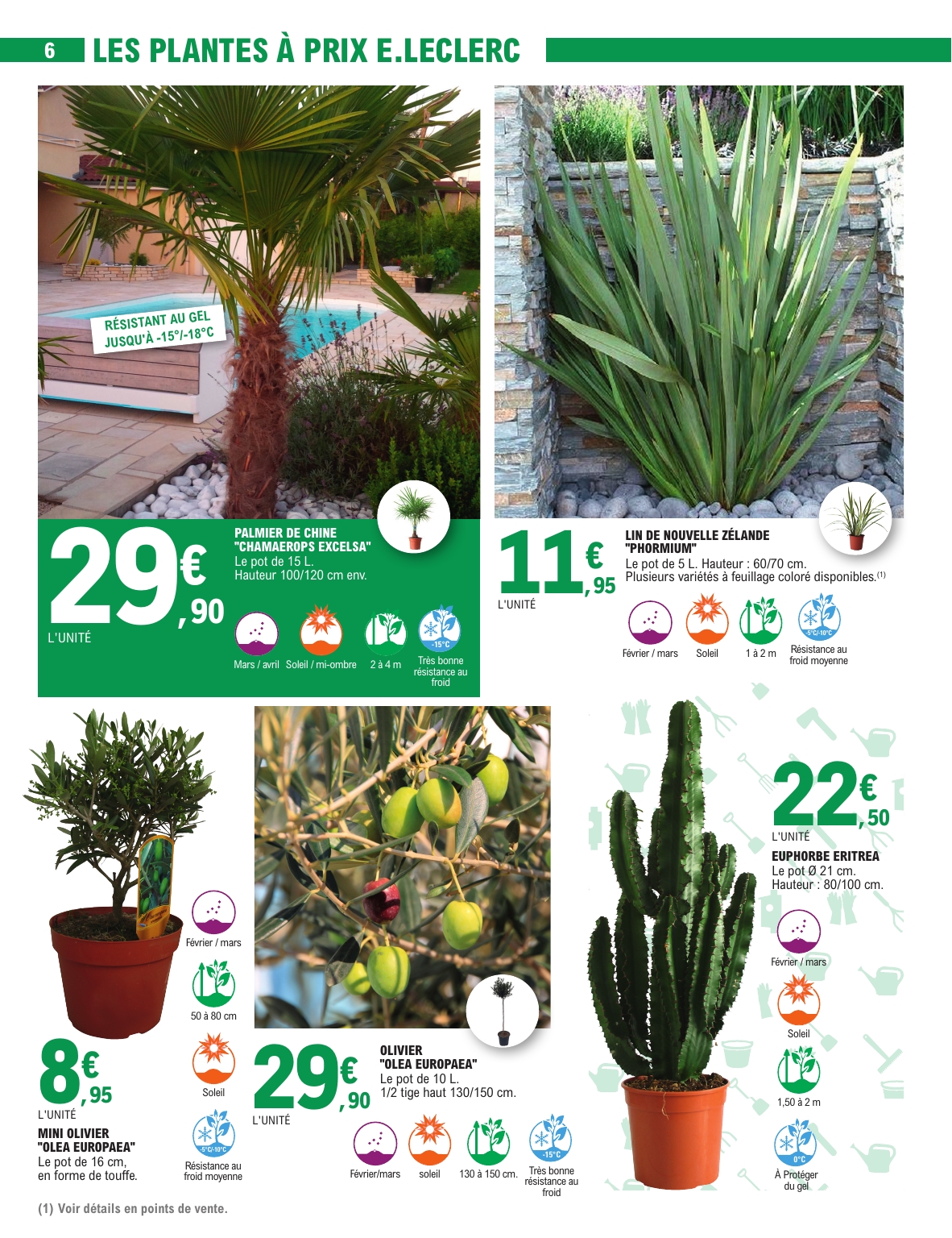 e-leclerc - Catalogue E.Leclerc - Jardin valable du 03/03/2026 au 15/03/2026 - page: 6