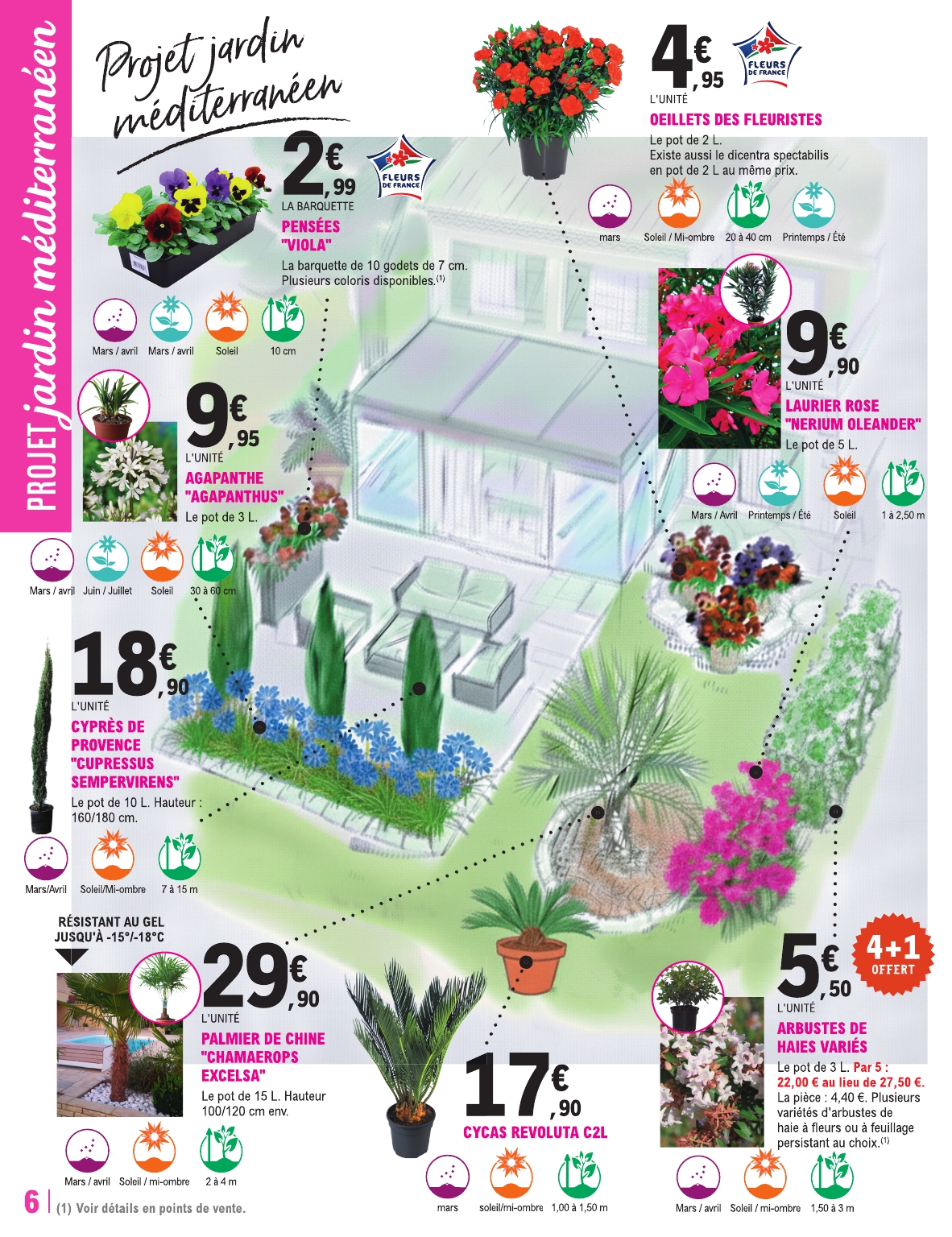 e-leclerc - Catalogue E.Leclerc - Jardi valable du 10/03/2026 au 21/03/2026 - page: 6
