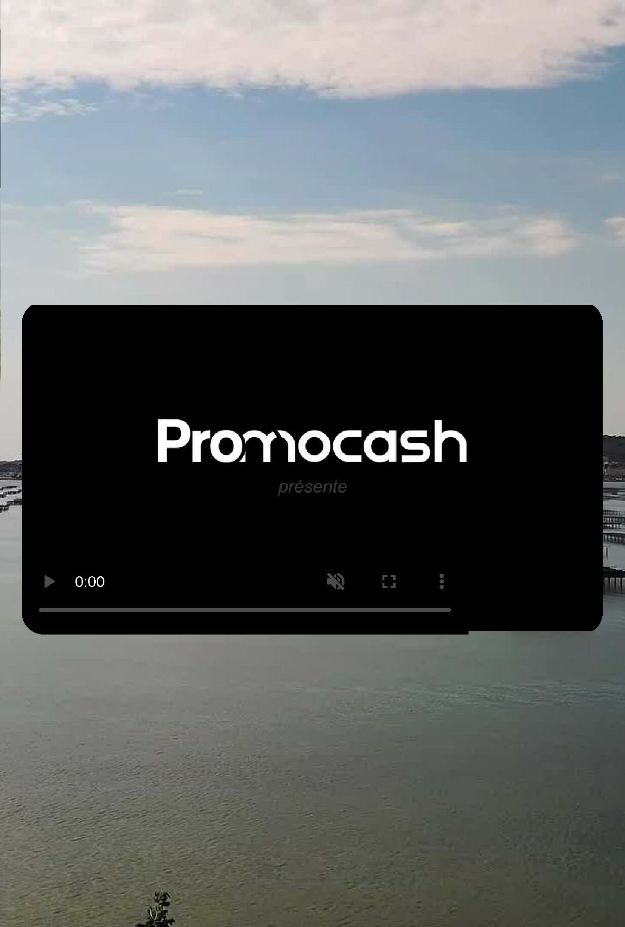 promocash - Catalogue Promocash - Sélection Promos valable du 16/10 au 11/11 - page: 22