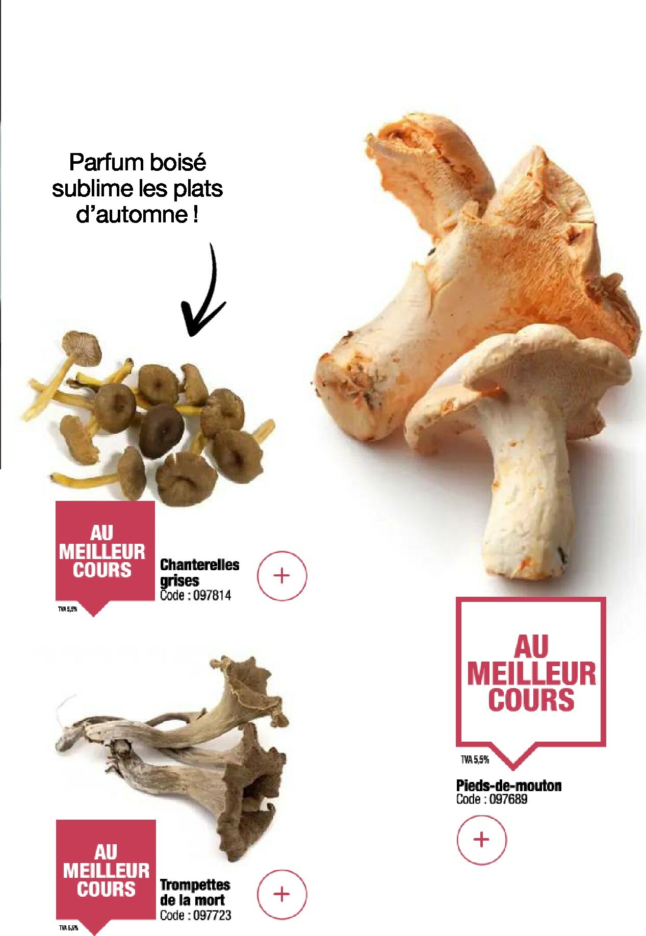 promocash - Catalogue Promocash - Sélection Promos valable du 16/10 au 11/11 - page: 11