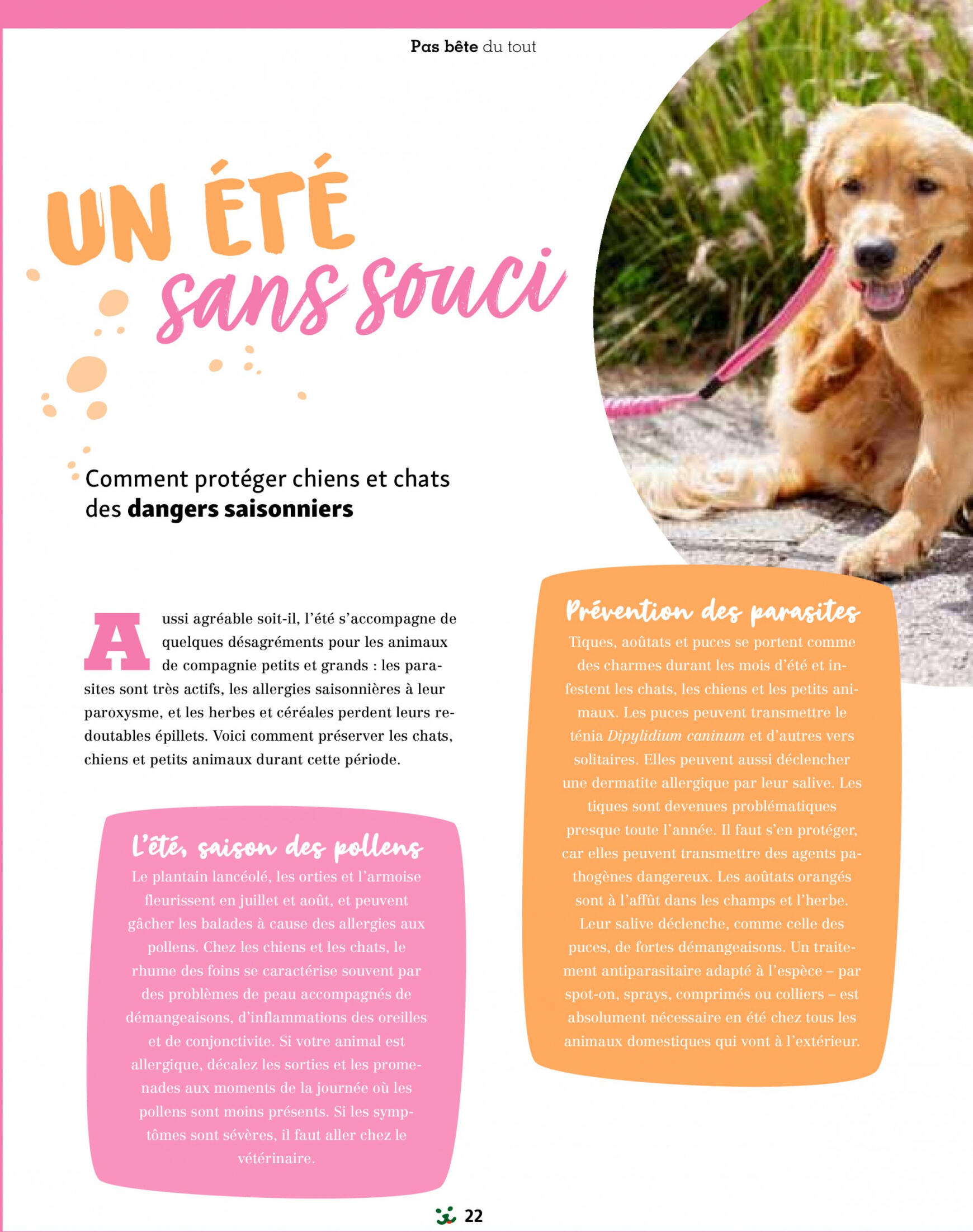 maxizoo - Prospectus Maxizoo Friends actuel 11.07. - 31.12. - page: 22