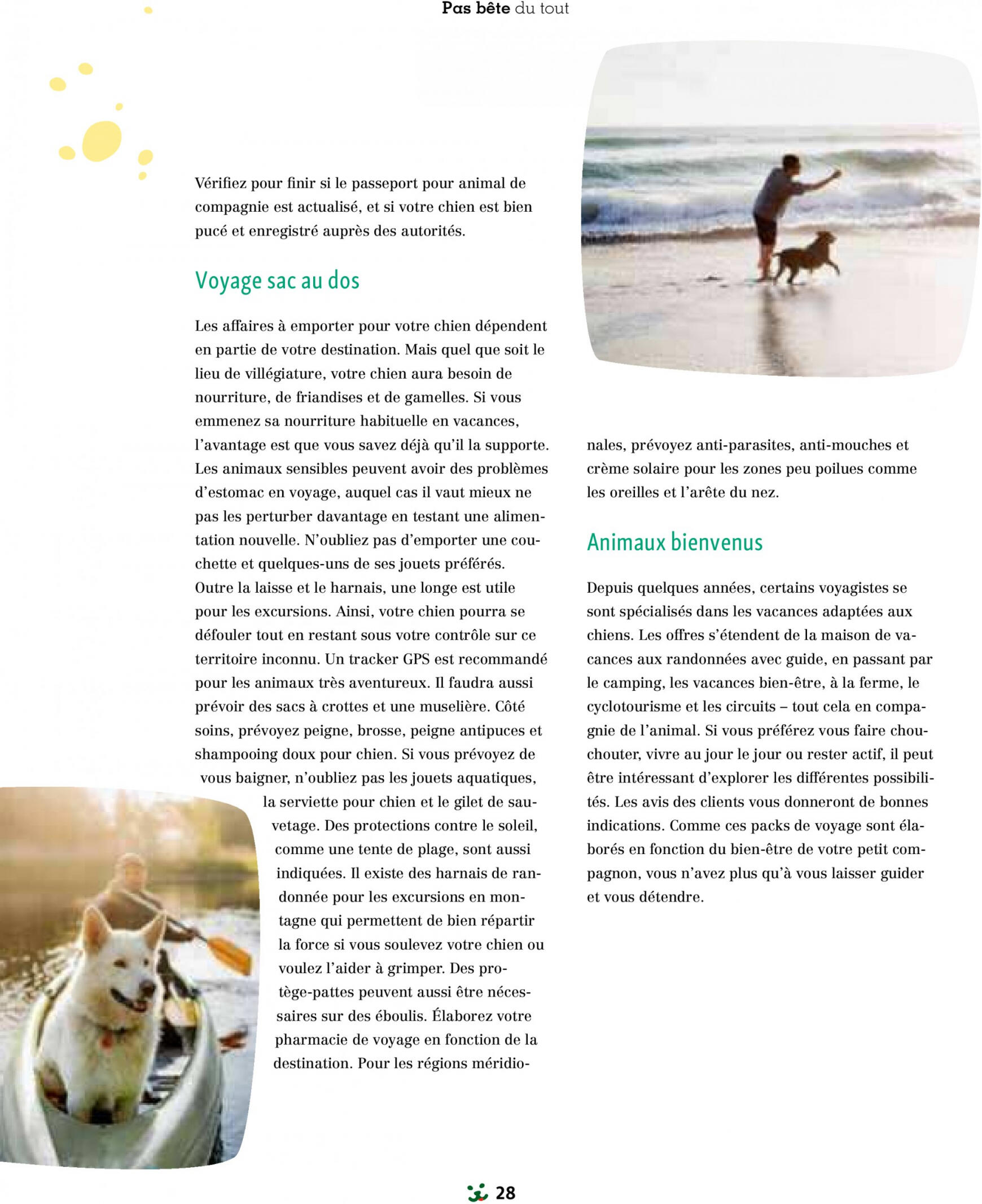 maxizoo - Prospectus Maxizoo Friends actuel 11.07. - 31.12. - page: 28