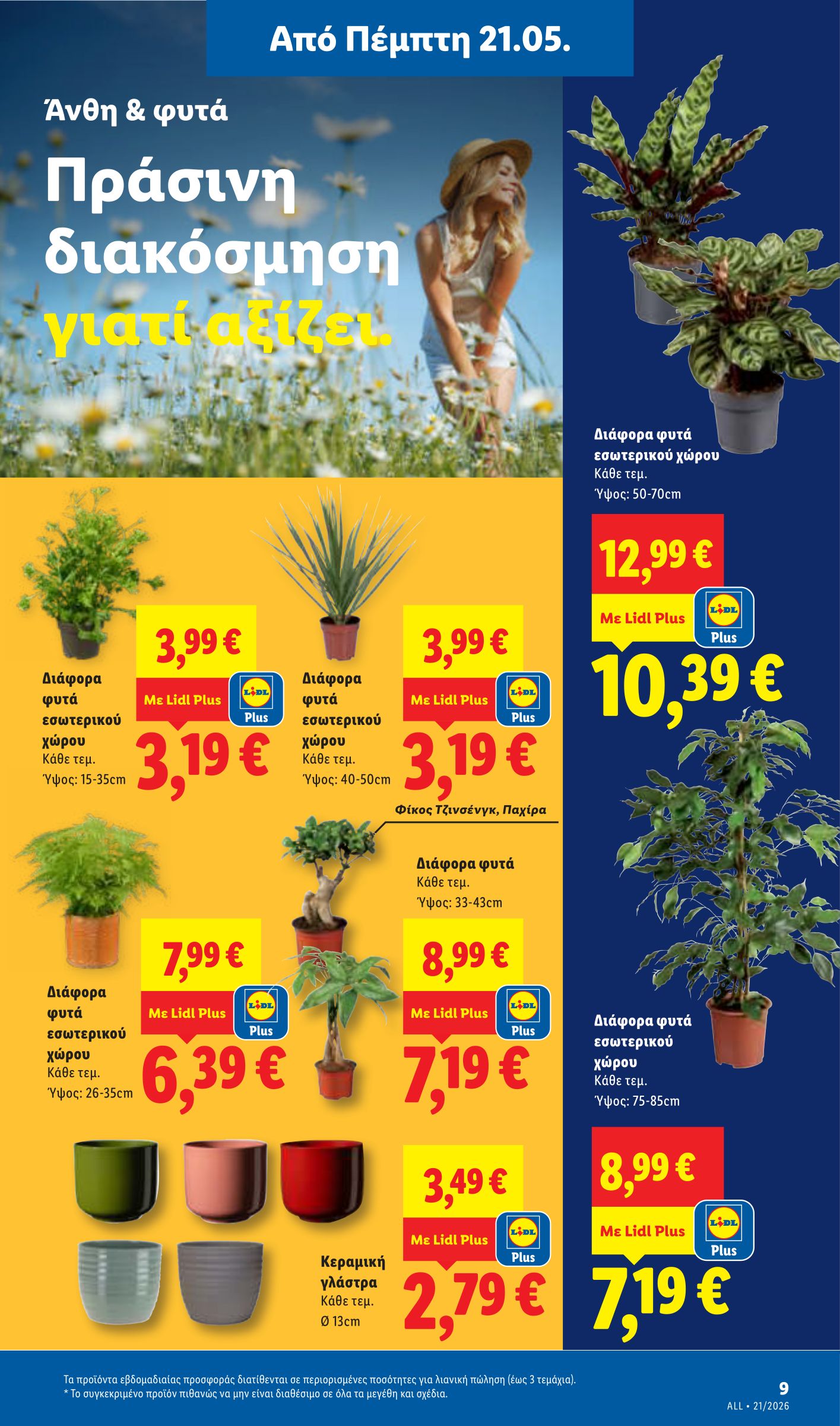 lidl - Μέλλων φυλλάδιο Lidl ισχύει από πέμπτης 21/05/2026 μέχρι τετάρτης 27/05/2026 - page: 37