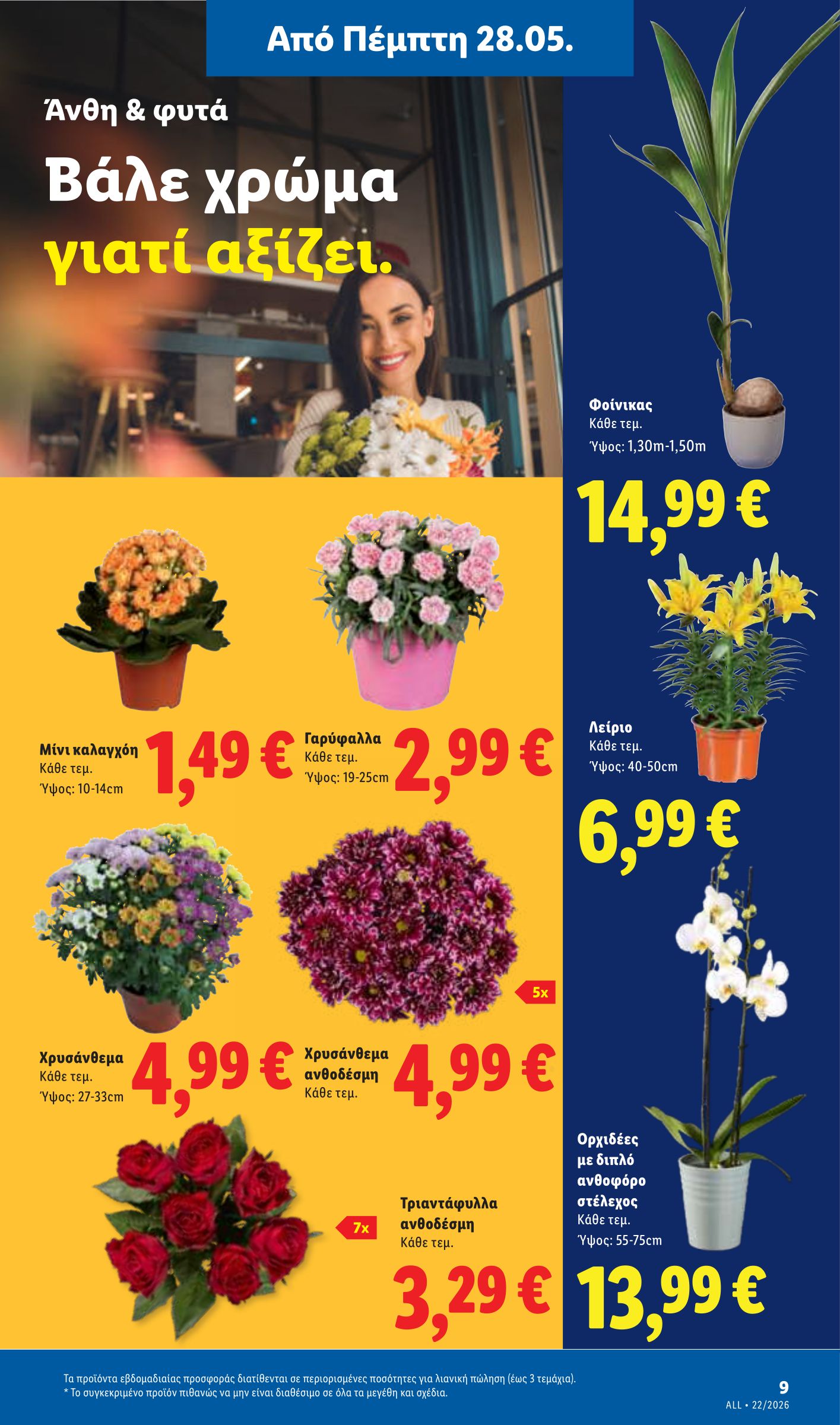 lidl - Μέλλων φυλλάδιο Lidl ισχύει από πέμπτης 28/05/2026 μέχρι τετάρτης 03/06/2026 - page: 43