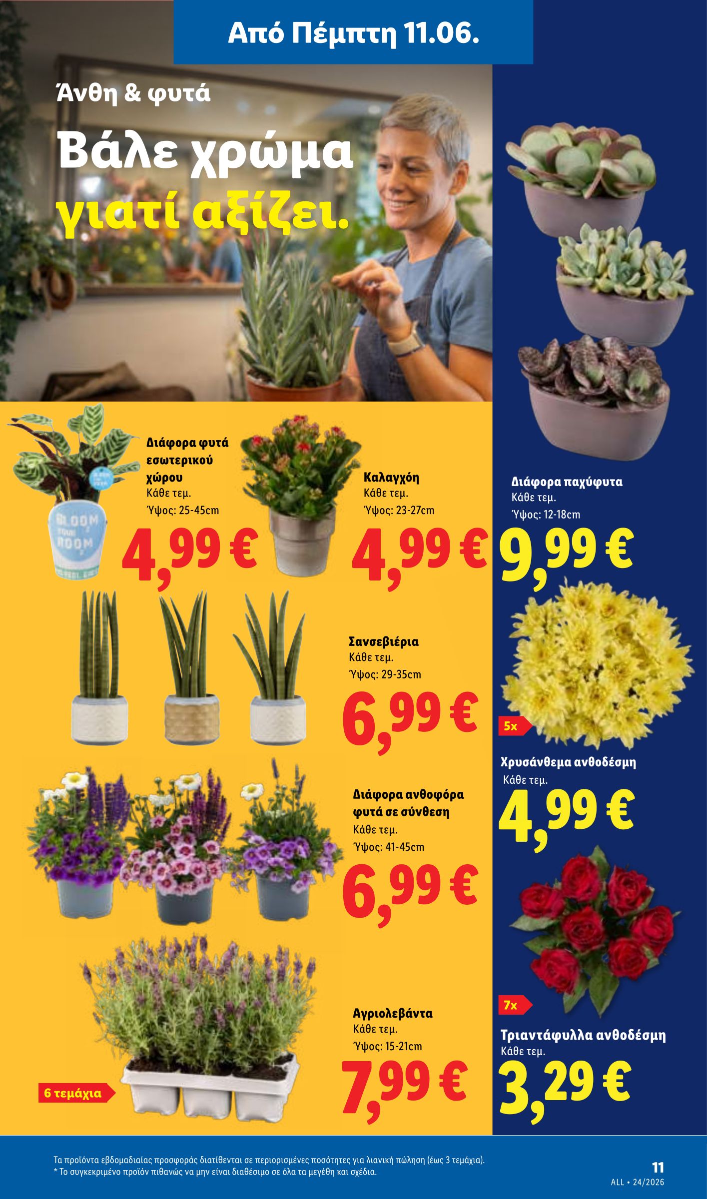 lidl - Το τρέχον φυλλάδιο Lidl ισχύει από πέμπτης 11/06/2026 έως τετάρτης 17/06/2026 - page: 49