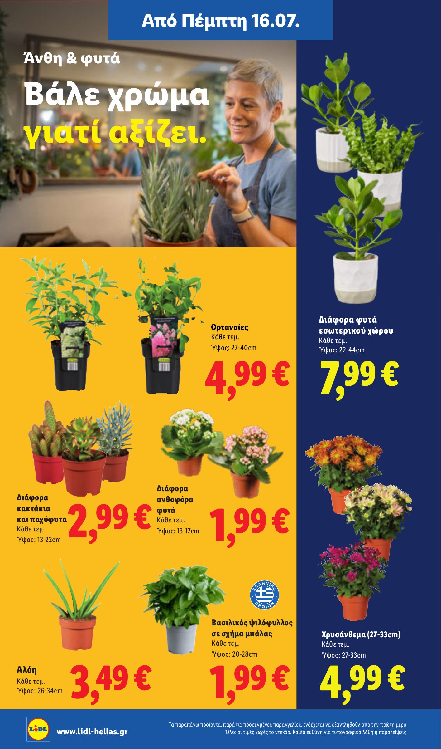 lidl - Μέλλων φυλλάδιο Lidl ισχύει από πέμπτης 16/07/2026 μέχρι τετάρτης 22/07/2026 - page: 46