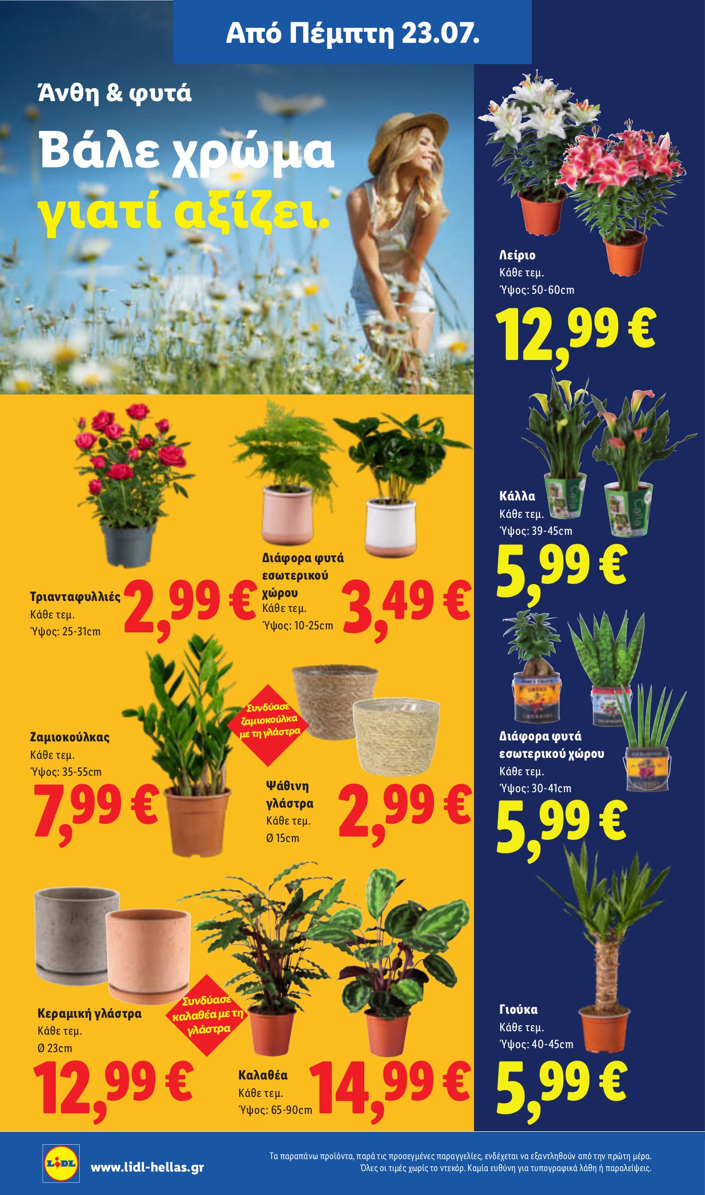 lidl - Το τρέχον φυλλάδιο Lidl ισχύει από πέμπτης 23/07/2026 έως τετάρτης 29/07/2026 - page: 38