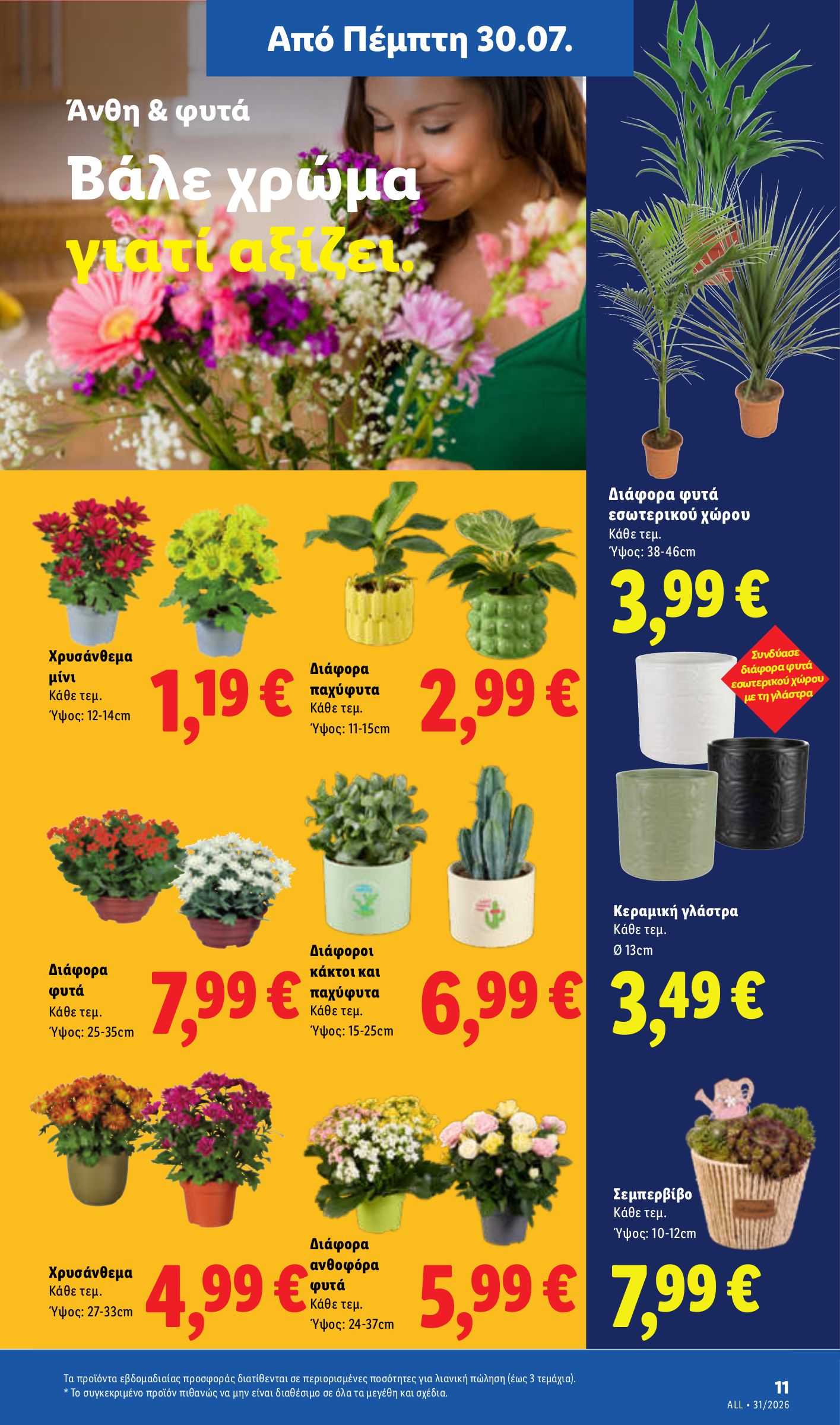 lidl - Το τρέχον φυλλάδιο Lidl ισχύει από πέμπτης 30/07/2026 έως τετάρτης 05/08/2026 - page: 43