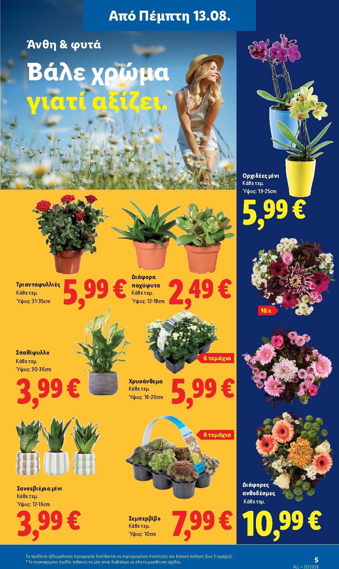 lidl - Μέλλων φυλλάδιο Lidl ισχύει από πέμπτης 13/08/2026 μέχρι τετάρτης 19/08/2026 - page: 39