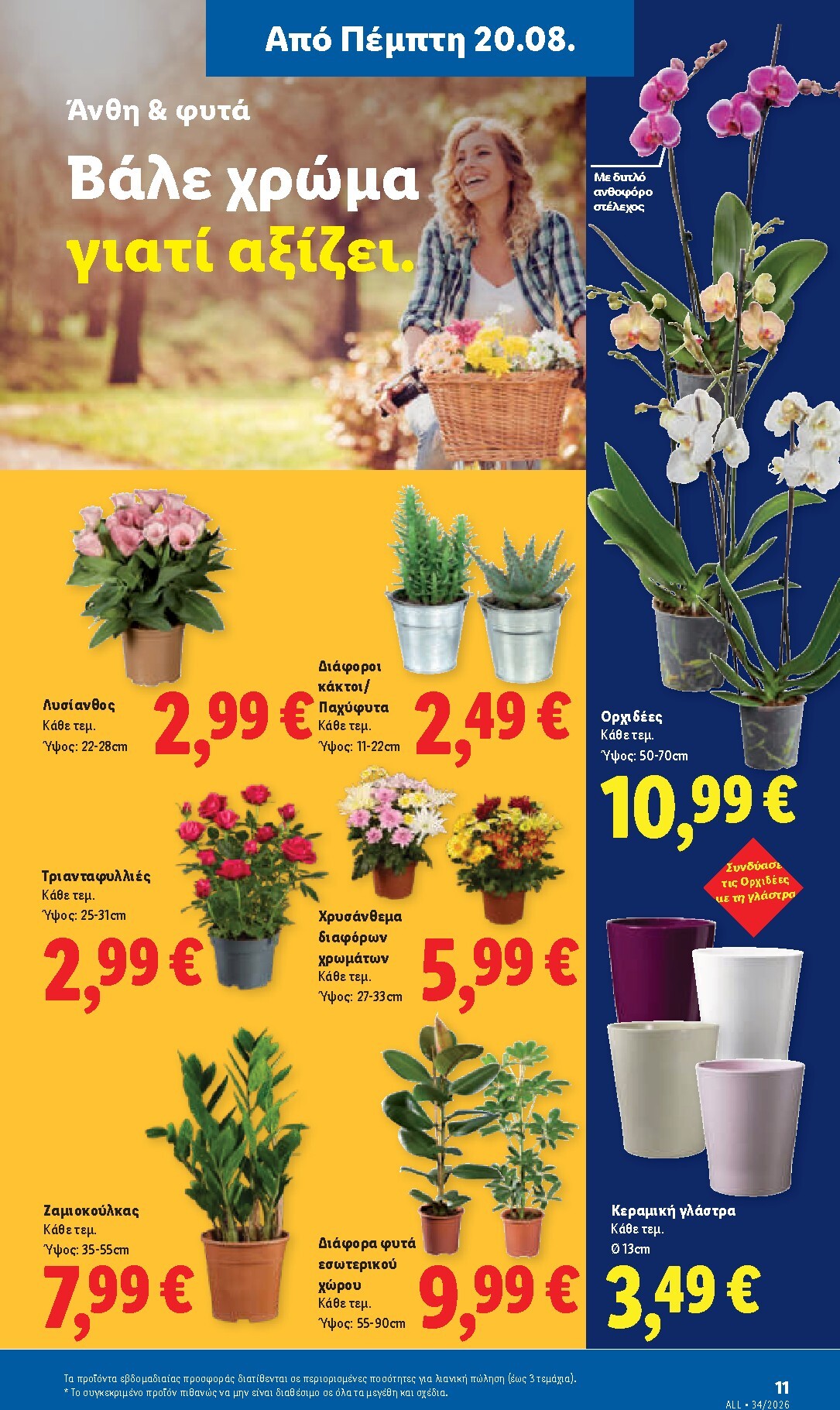 lidl - Μέλλων φυλλάδιο Lidl ισχύει από πέμπτης 20/08/2026 μέχρι τετάρτης 26/08/2026 - page: 47
