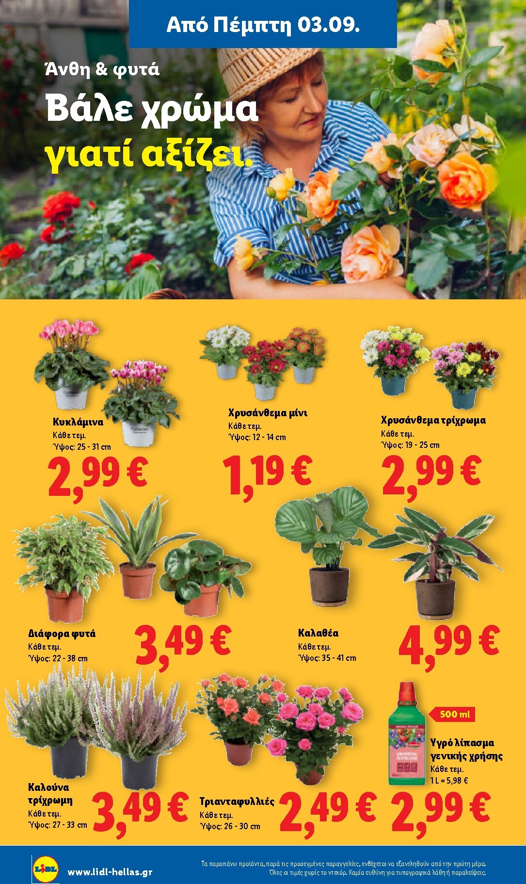 lidl - Μέλλων φυλλάδιο Lidl ισχύει από πέμπτης 03/09/2026 μέχρι τετάρτης 09/09/2026 - page: 46