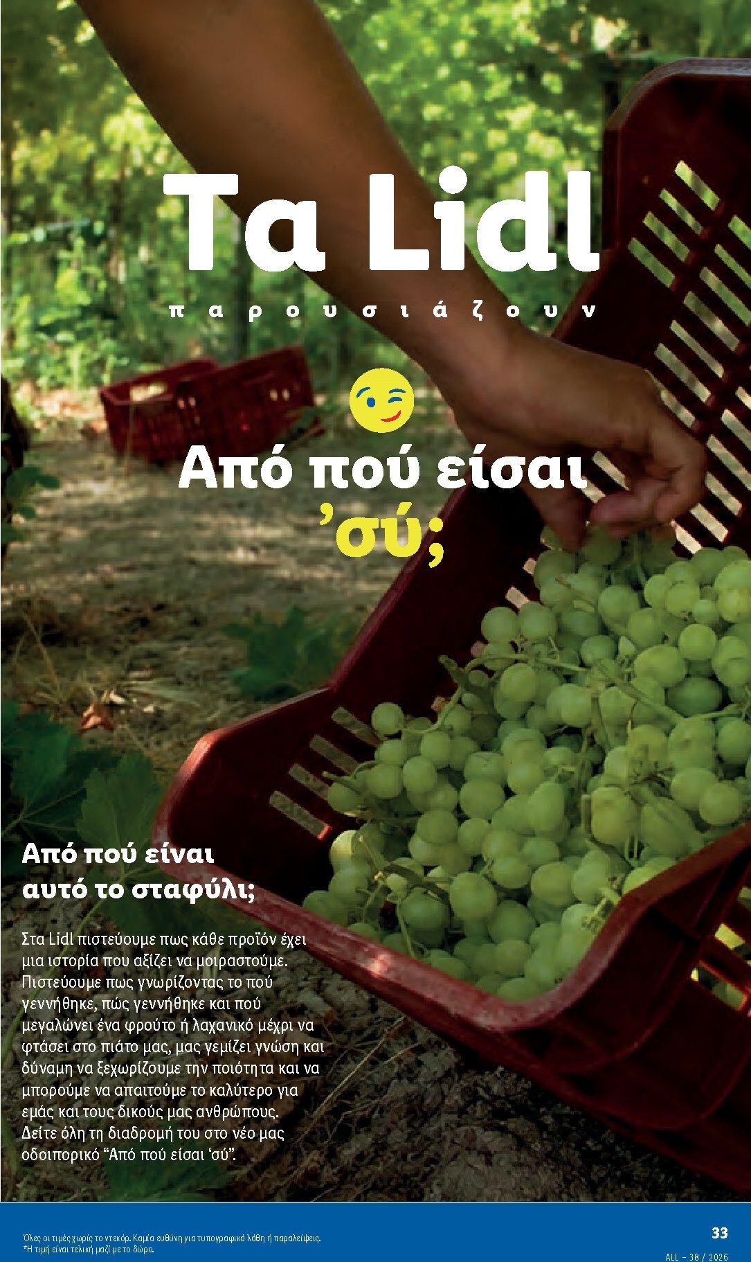 lidl - Μέλλων φυλλάδιο Lidl ισχύει από πέμπτης 17/09/2026 μέχρι τετάρτης 23/09/2026 - page: 10