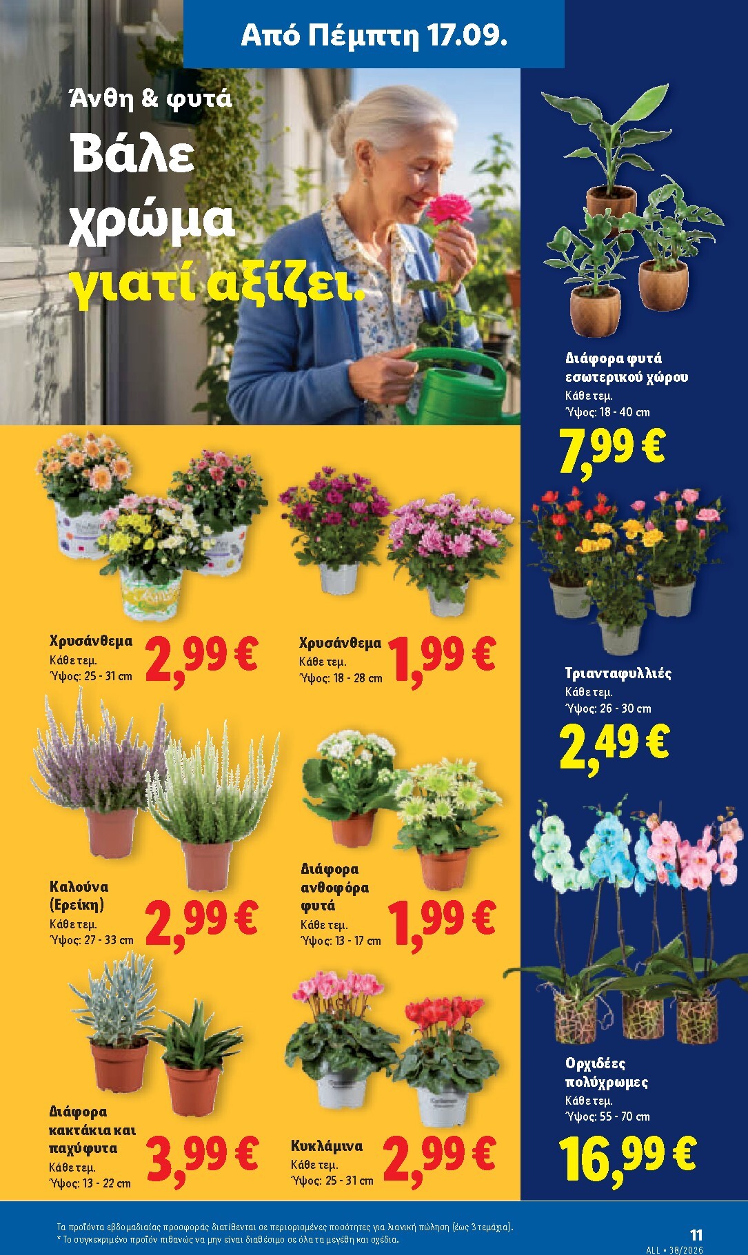 lidl - Το τρέχον φυλλάδιο Lidl ισχύει από πέμπτης 17/09/2026 έως τετάρτης 23/09/2026 - page: 43