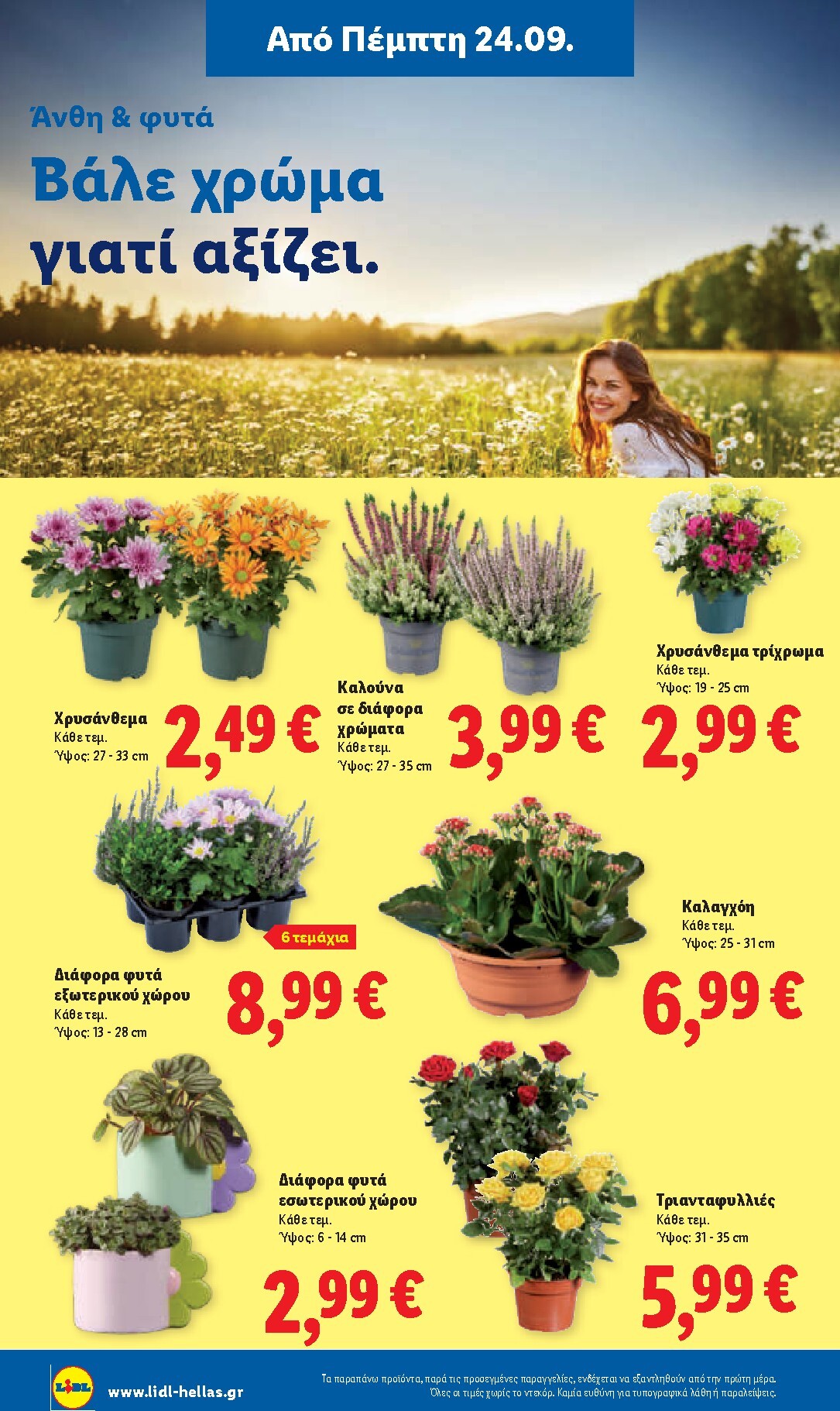 lidl - Μέλλων φυλλάδιο Lidl ισχύει από πέμπτης 24/09/2026 μέχρι τετάρτης 30/09/2026 - page: 42
