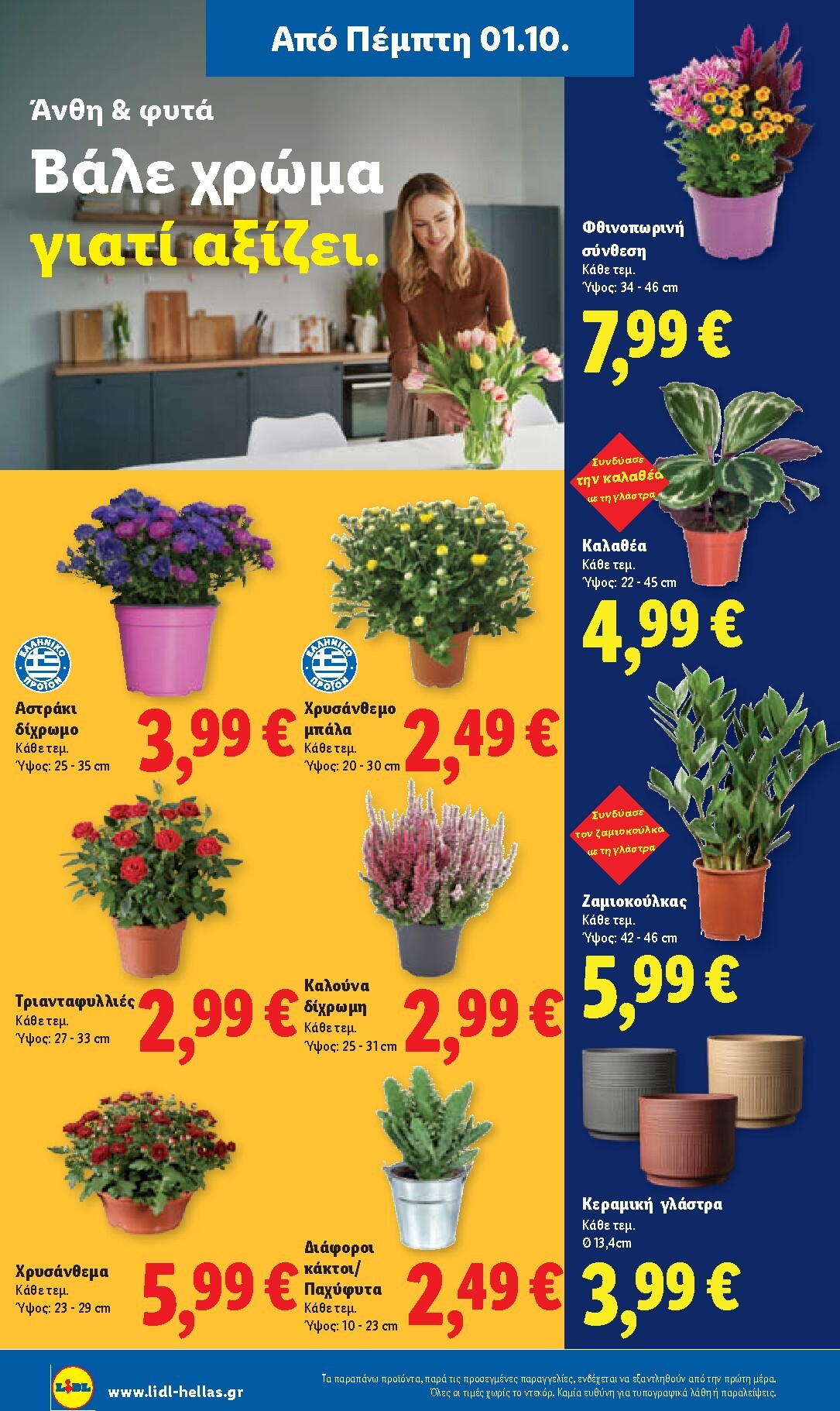 lidl - Μέλλων φυλλάδιο Lidl ισχύει από πέμπτης 01/10/2026 μέχρι τετάρτης 07/10/2026 - page: 50