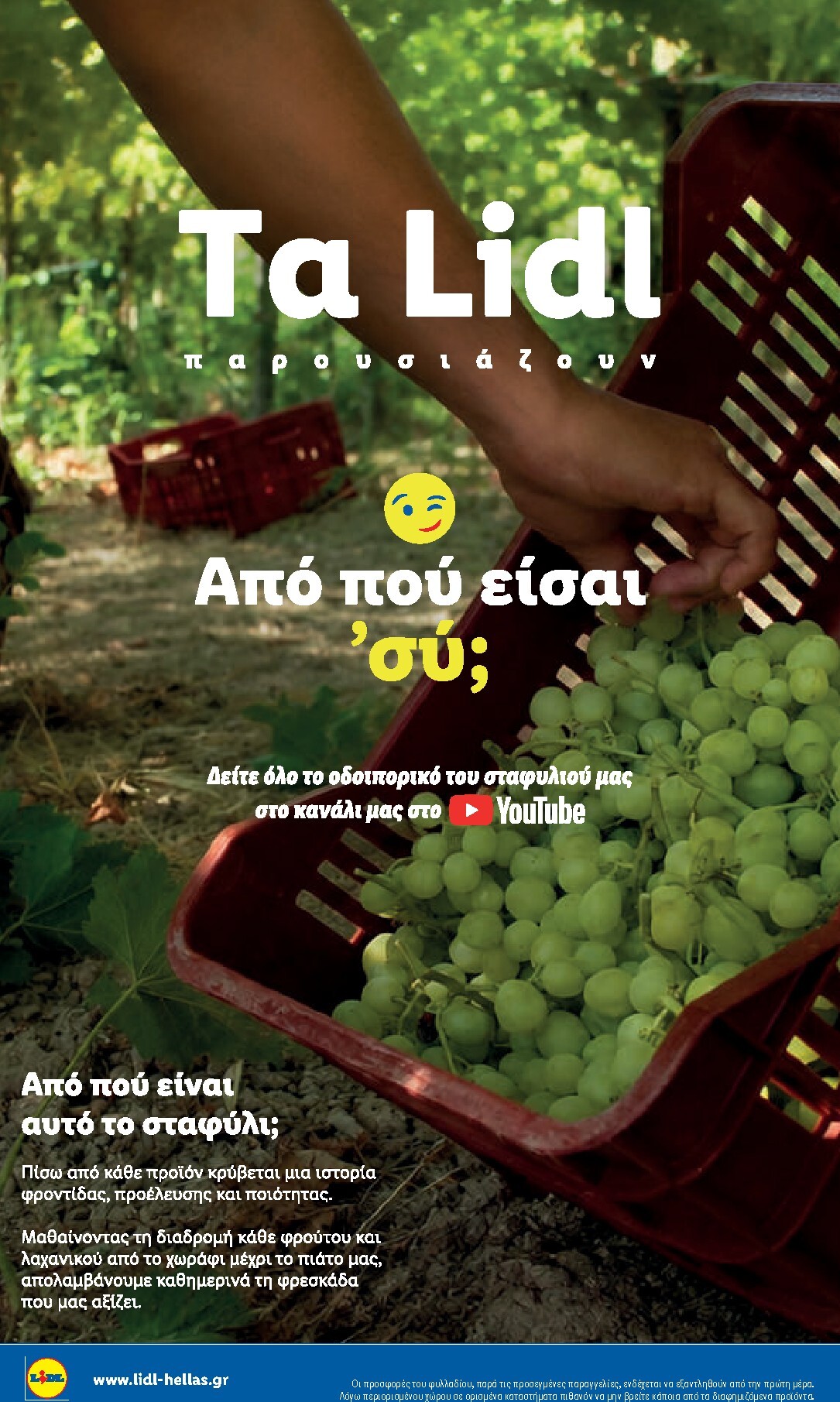 lidl - Μέλλων φυλλάδιο Lidl ισχύει από πέμπτης 01/10/2026 μέχρι τετάρτης 07/10/2026 - page: 32