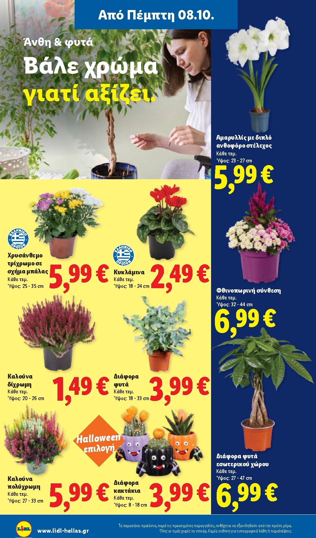 lidl - Μέλλων φυλλάδιο Lidl ισχύει από πέμπτης 08/10/2026 μέχρι τετάρτης 14/10/2026 - page: 56