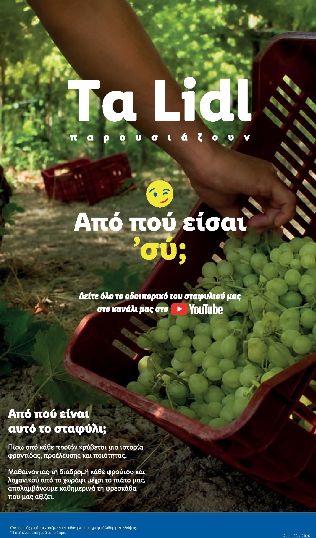 lidl - Μέλλων φυλλάδιο Lidl ισχύει από πέμπτης 08/10/2026 μέχρι τετάρτης 14/10/2026 - page: 7