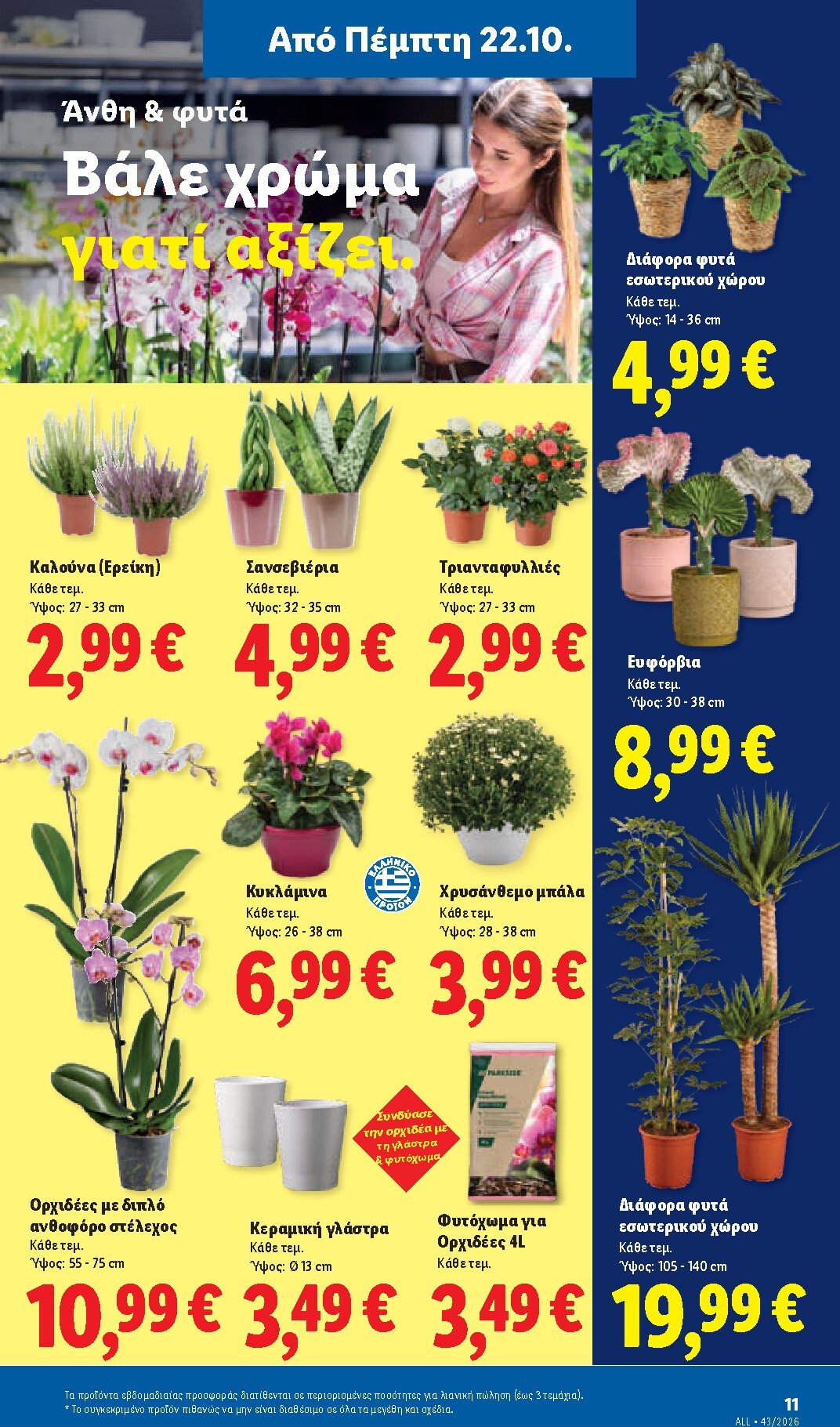 lidl - Μέλλων φυλλάδιο Lidl ισχύει από πέμπτης 22/10/2026 μέχρι τρίτης 27/10/2026 - page: 49