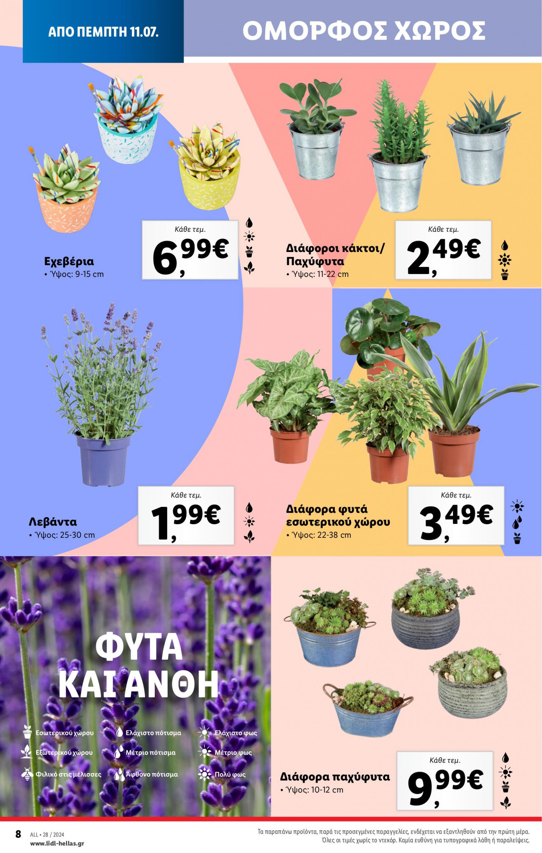 lidl - Lidl φυλλάδιο ρεύματος 11/07 - 17/07 - page: 40