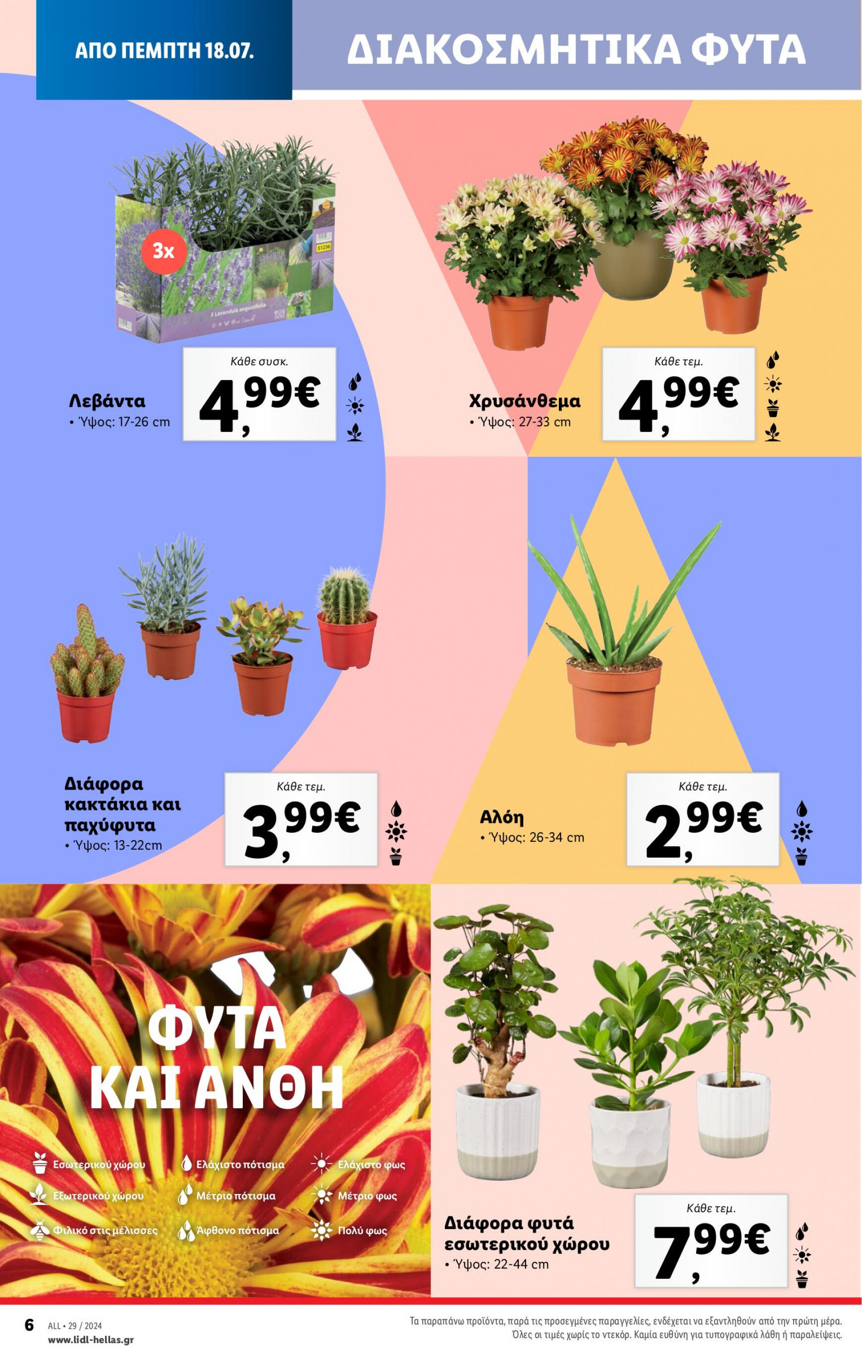 lidl - Lidl φυλλάδιο ρεύματος 18/07 - 24/07 - page: 40