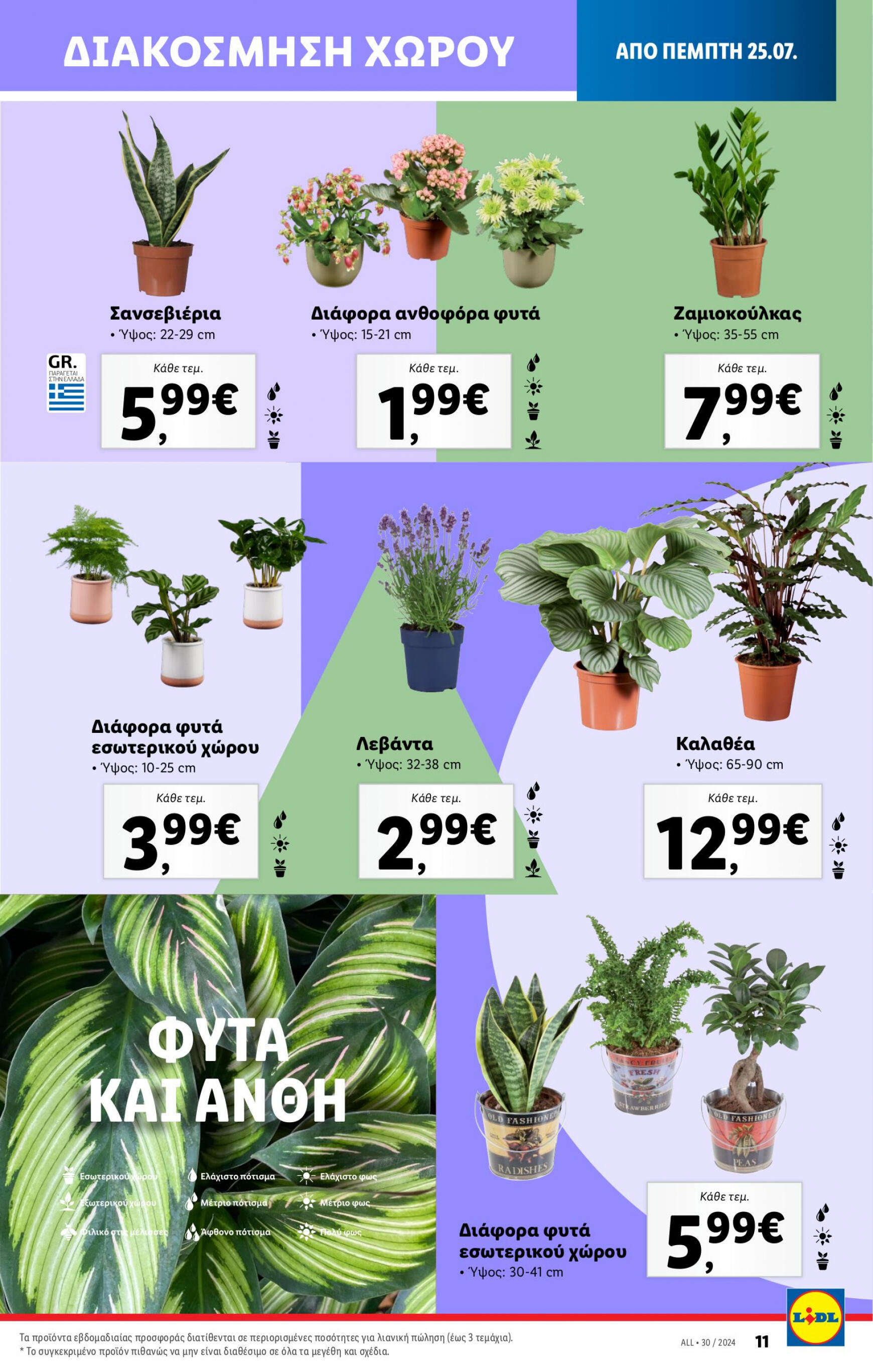 lidl - Lidl φυλλάδιο ρεύματος 25/07 - 31/07 - page: 43