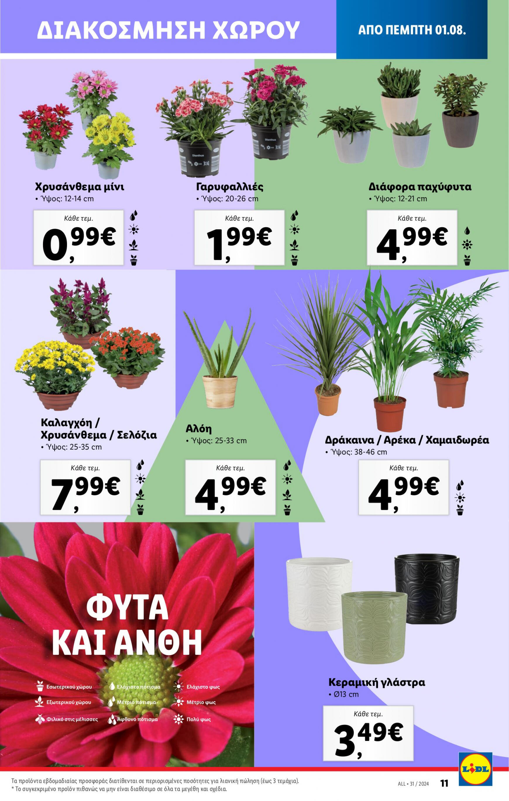 lidl - Lidl φυλλάδιο ρεύματος 01/08 - 07/08 - page: 43