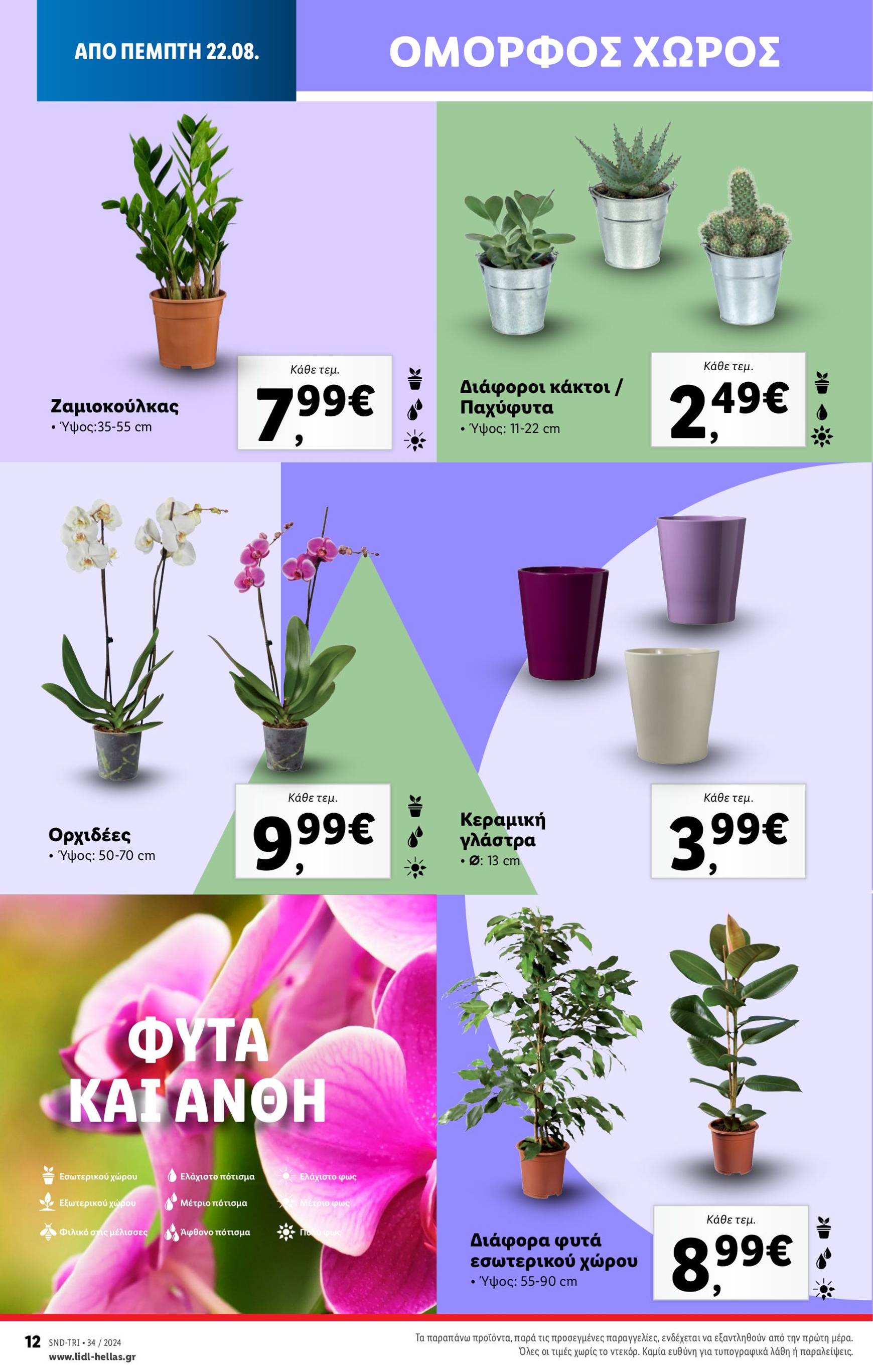 lidl - Lidl φυλλάδιο ρεύματος 22/08 - 28/08 - page: 44