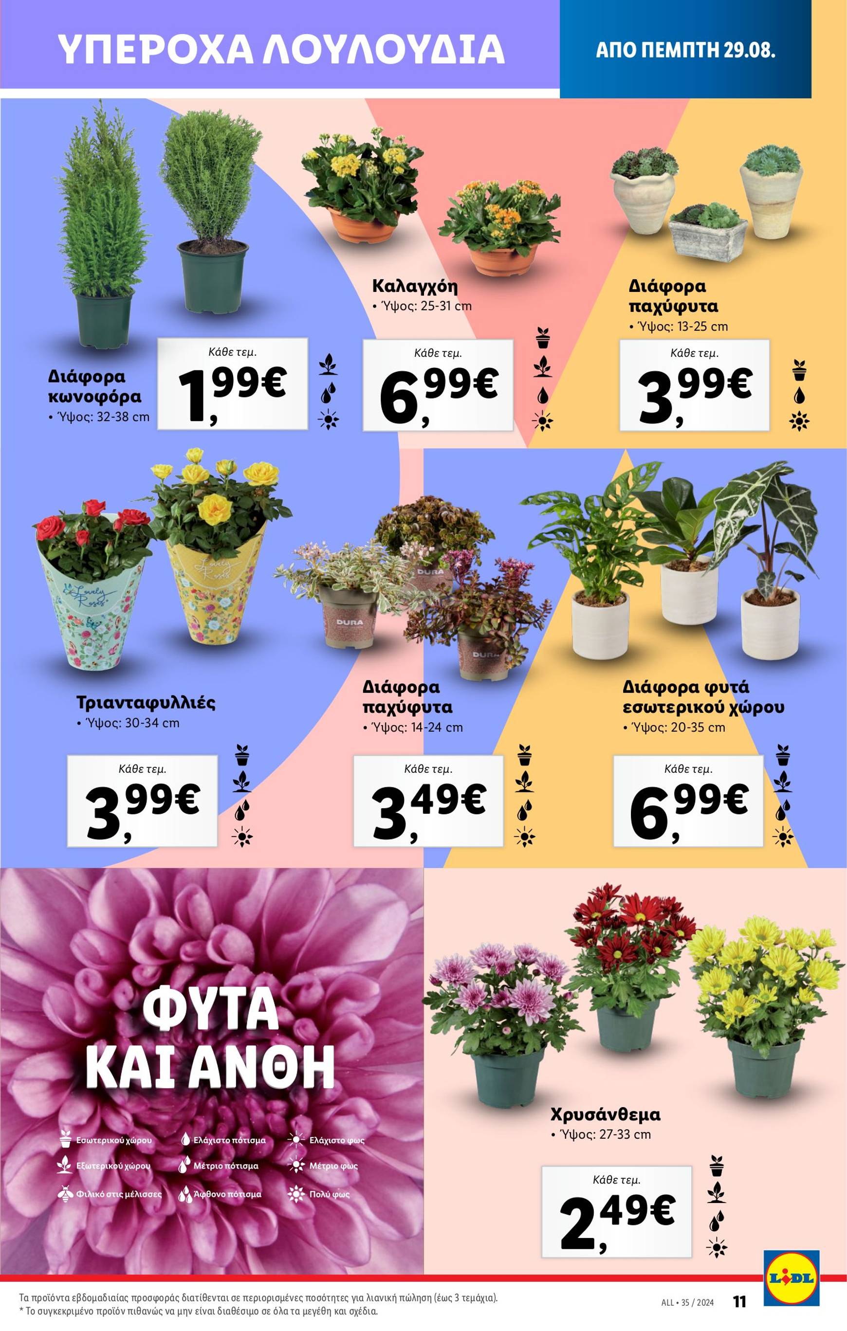 lidl - Lidl φυλλάδιο ρεύματος 29/08 - 04/09 - page: 43