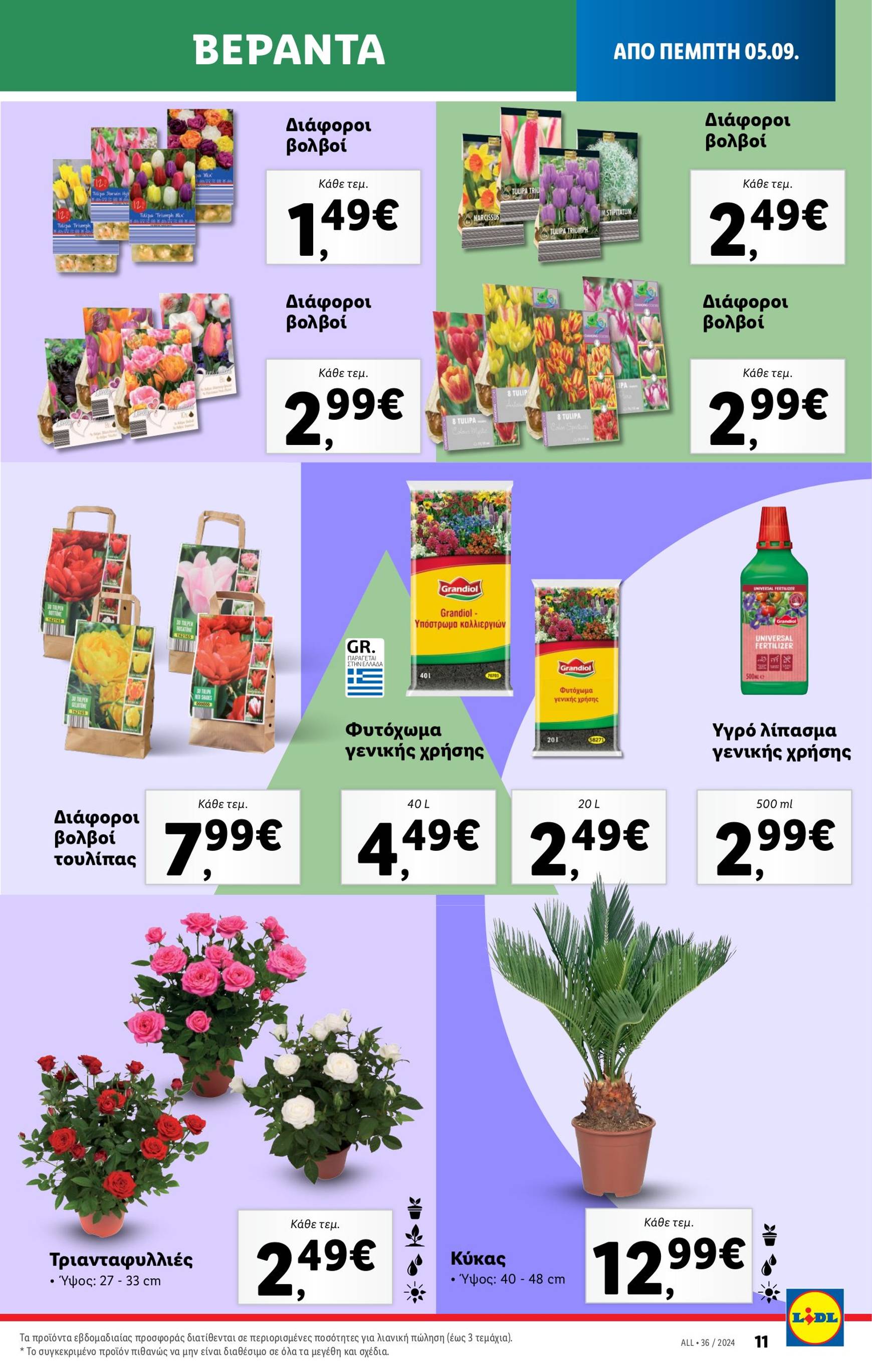 lidl - Lidl φυλλάδιο ρεύματος 05/09 - 11/09 - page: 48