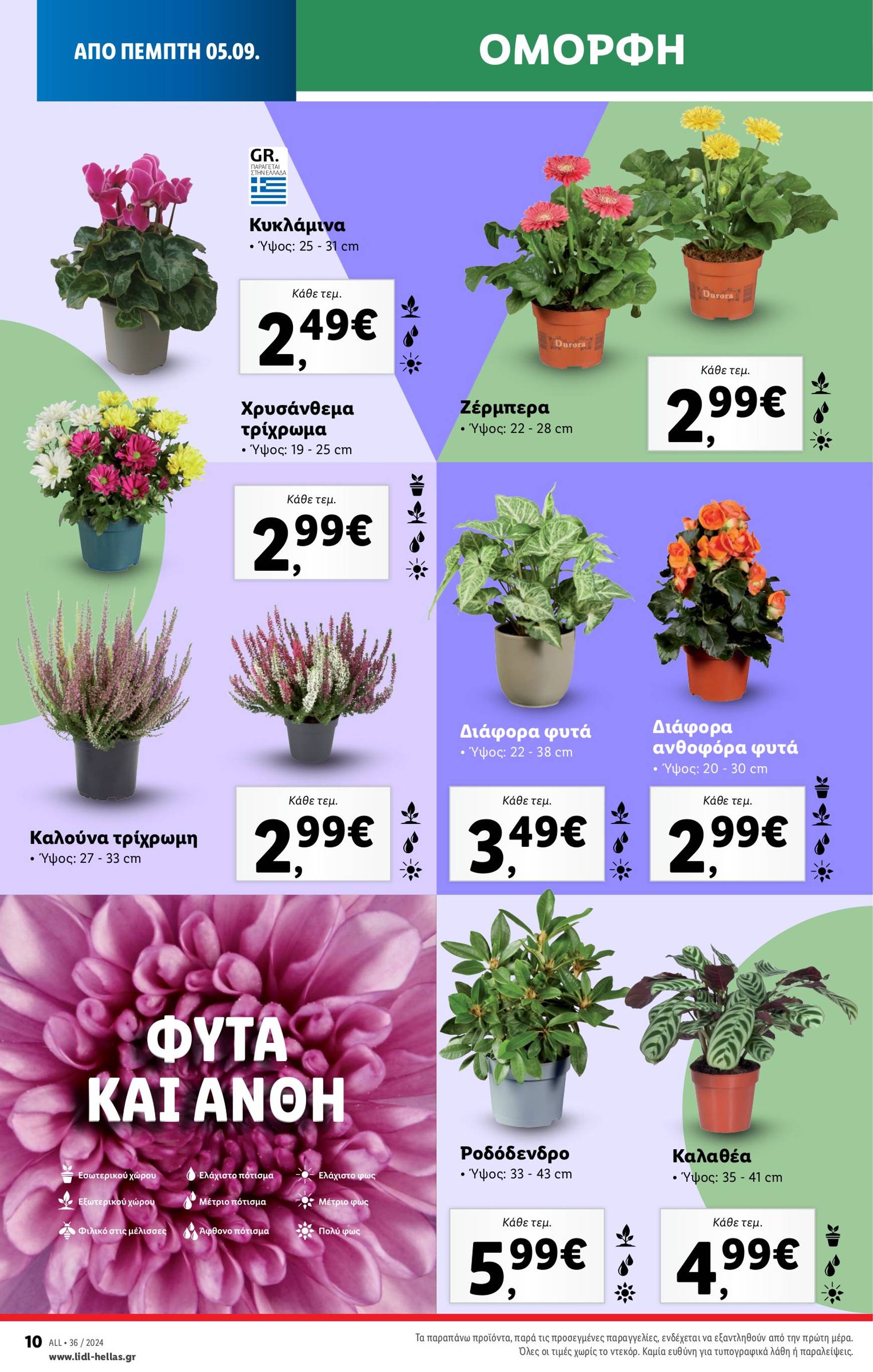 lidl - Lidl φυλλάδιο ρεύματος 05/09 - 11/09 - page: 47