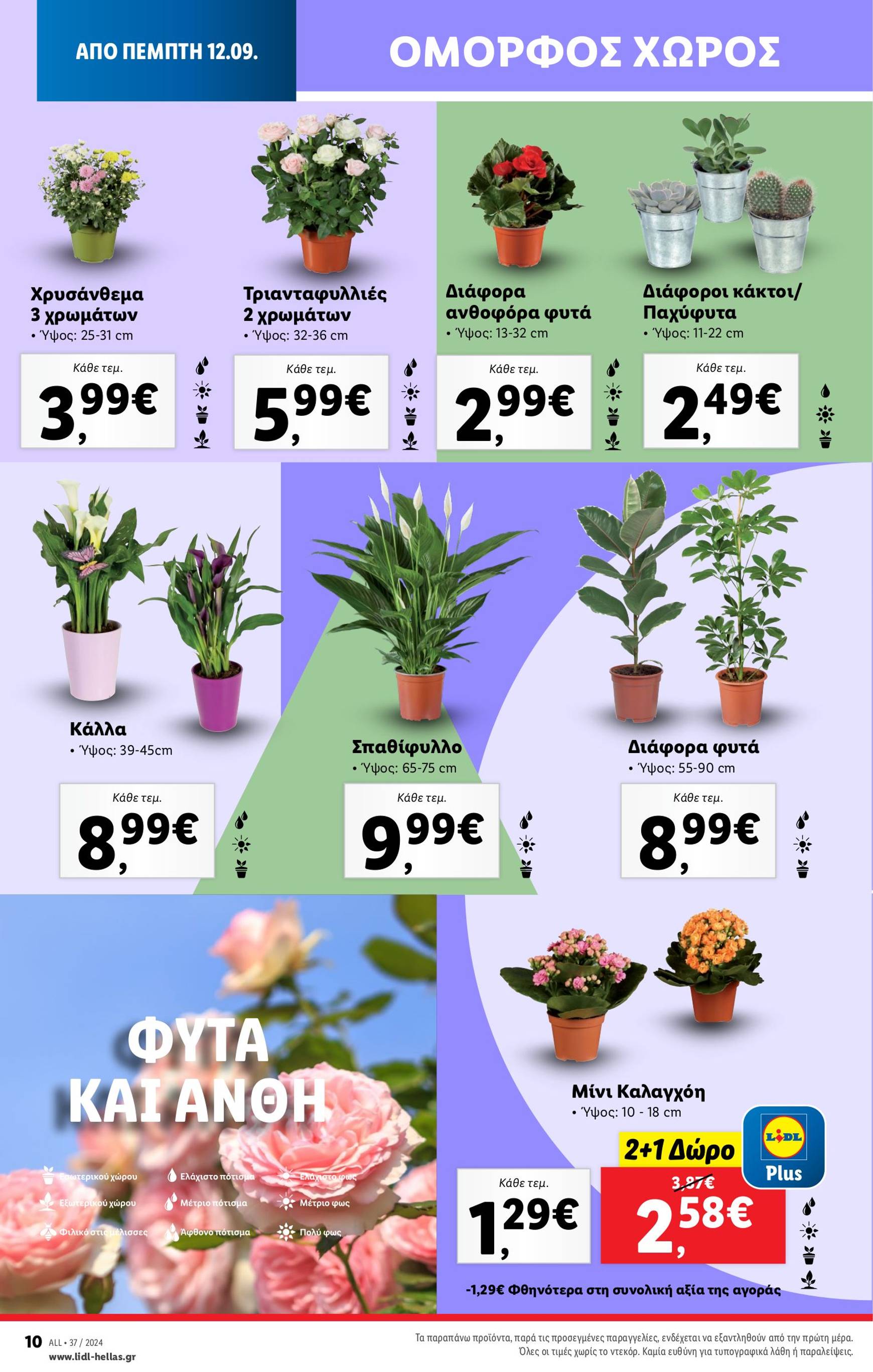 lidl - Lidl φυλλάδιο ρεύματος 12/09 - 18/09 - page: 42