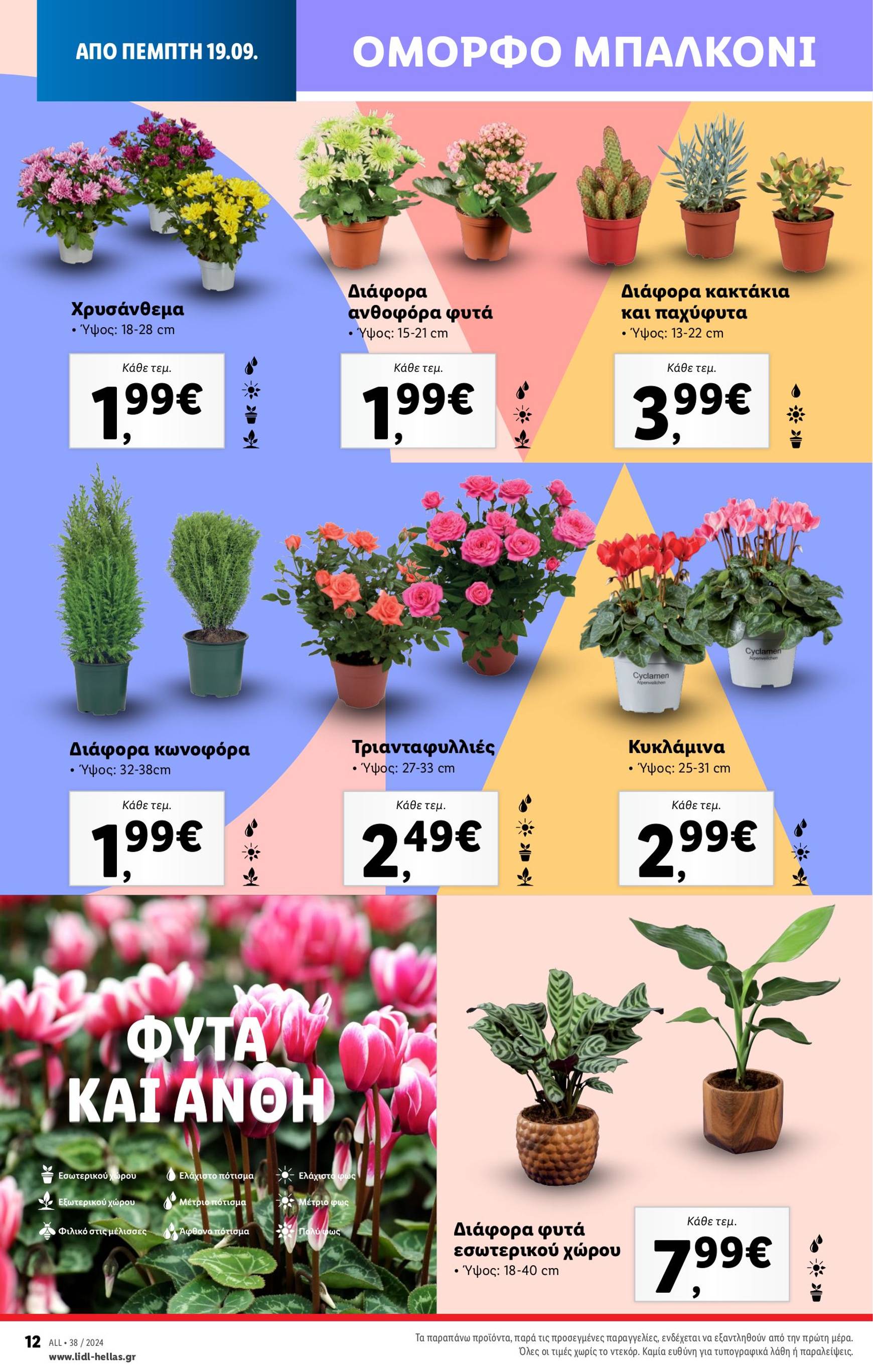 lidl - Lidl φυλλάδιο ρεύματος 19/09 - 25/09 - page: 52