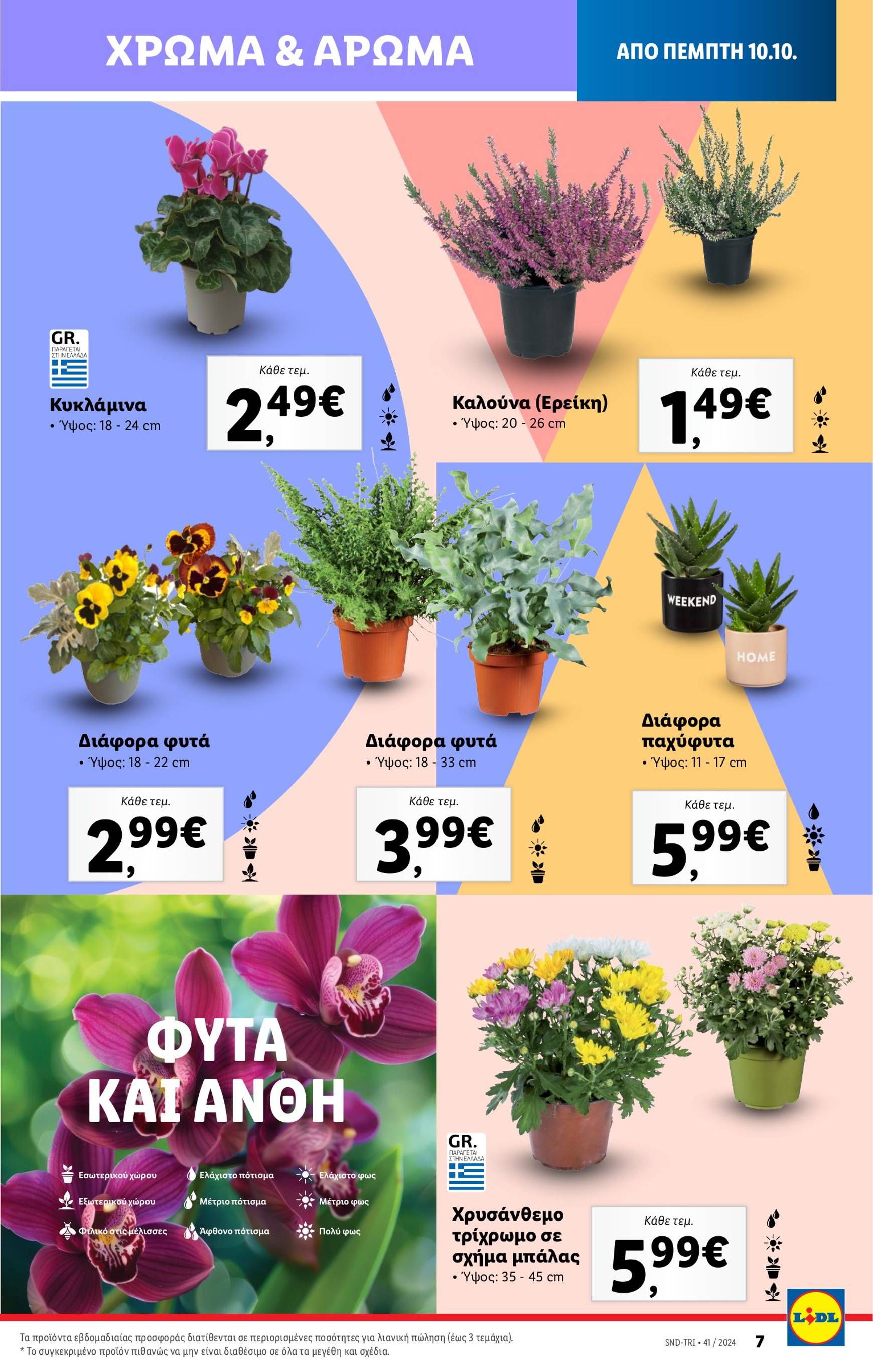 lidl - Lidl φυλλάδιο έγκυρο από 10/10 - 16/10 - page: 39