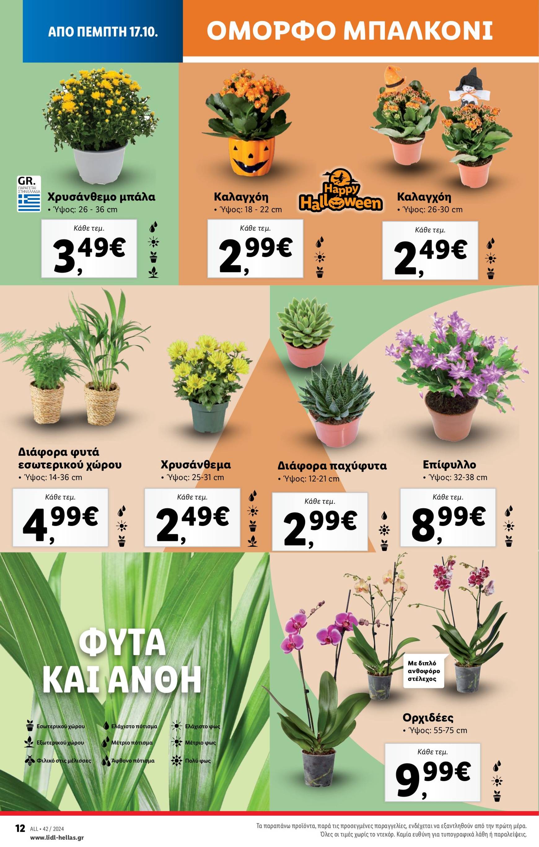 lidl - Lidl φυλλάδιο έγκυρο από 17/10 - 23/10 - page: 46