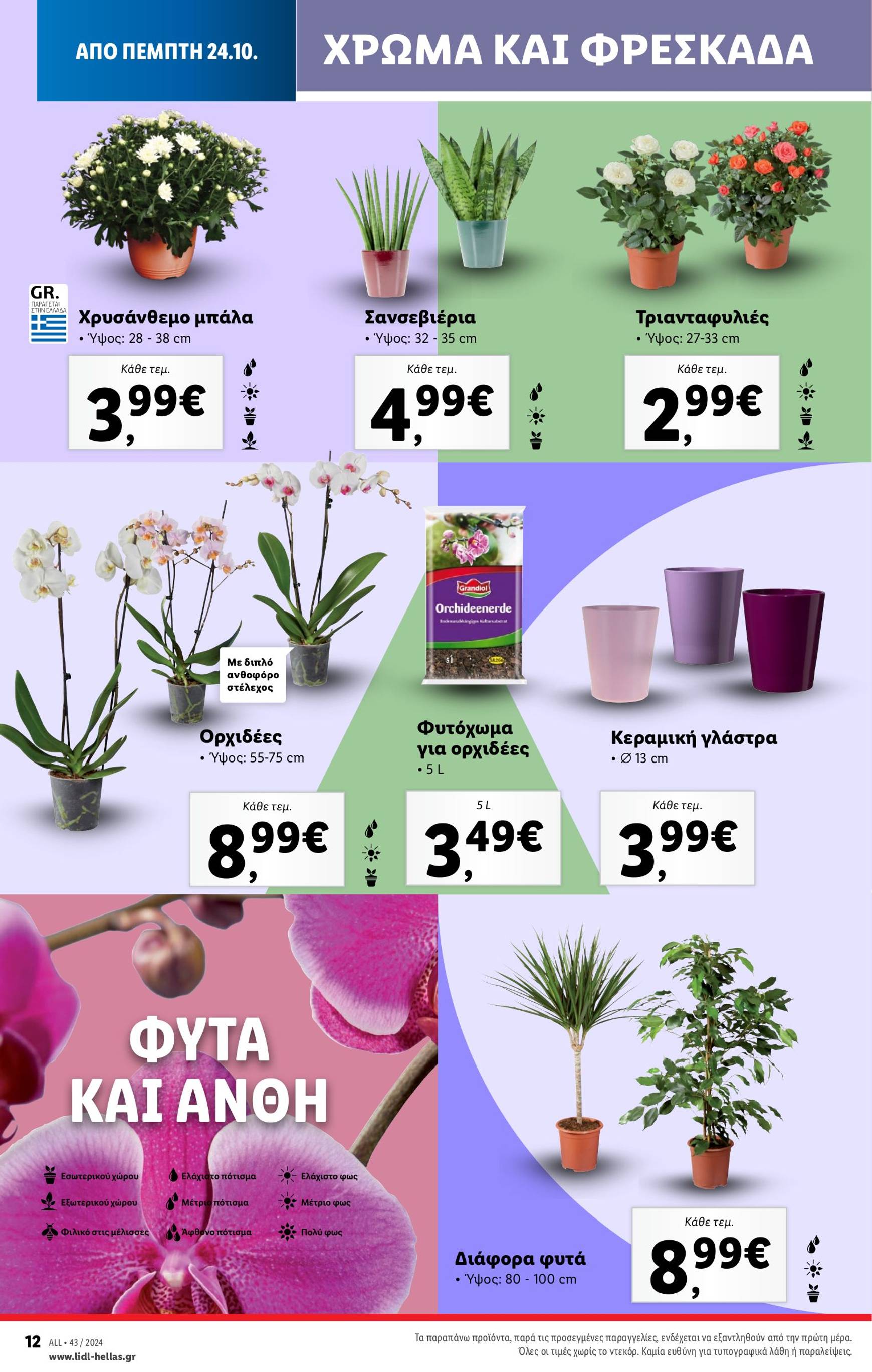 lidl - Lidl φυλλάδιο έγκυρο από 24/10 - 30/10 - page: 46