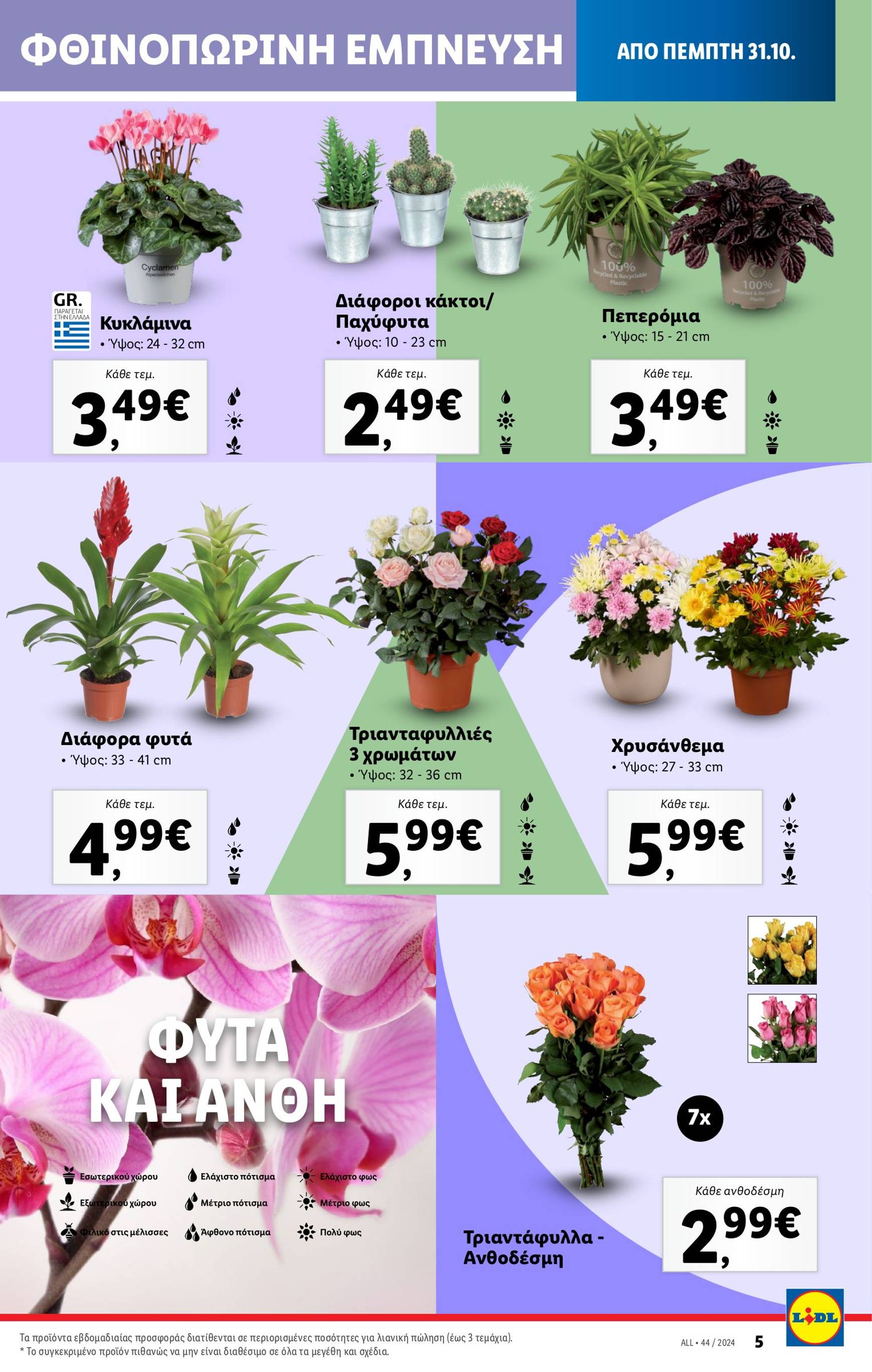 lidl - Lidl φυλλάδιο έγκυρο από 31/10 - 06/11 - page: 37