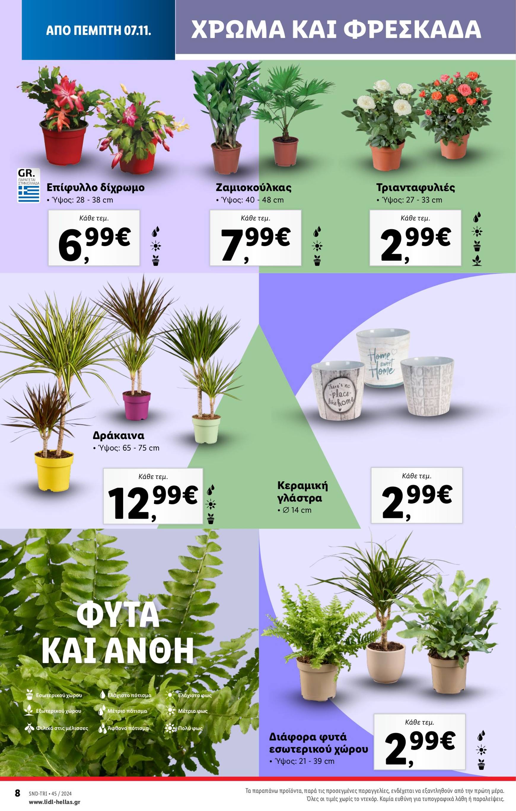 lidl - Lidl φυλλάδιο έγκυρο από 07/11 - 13/11 - page: 40