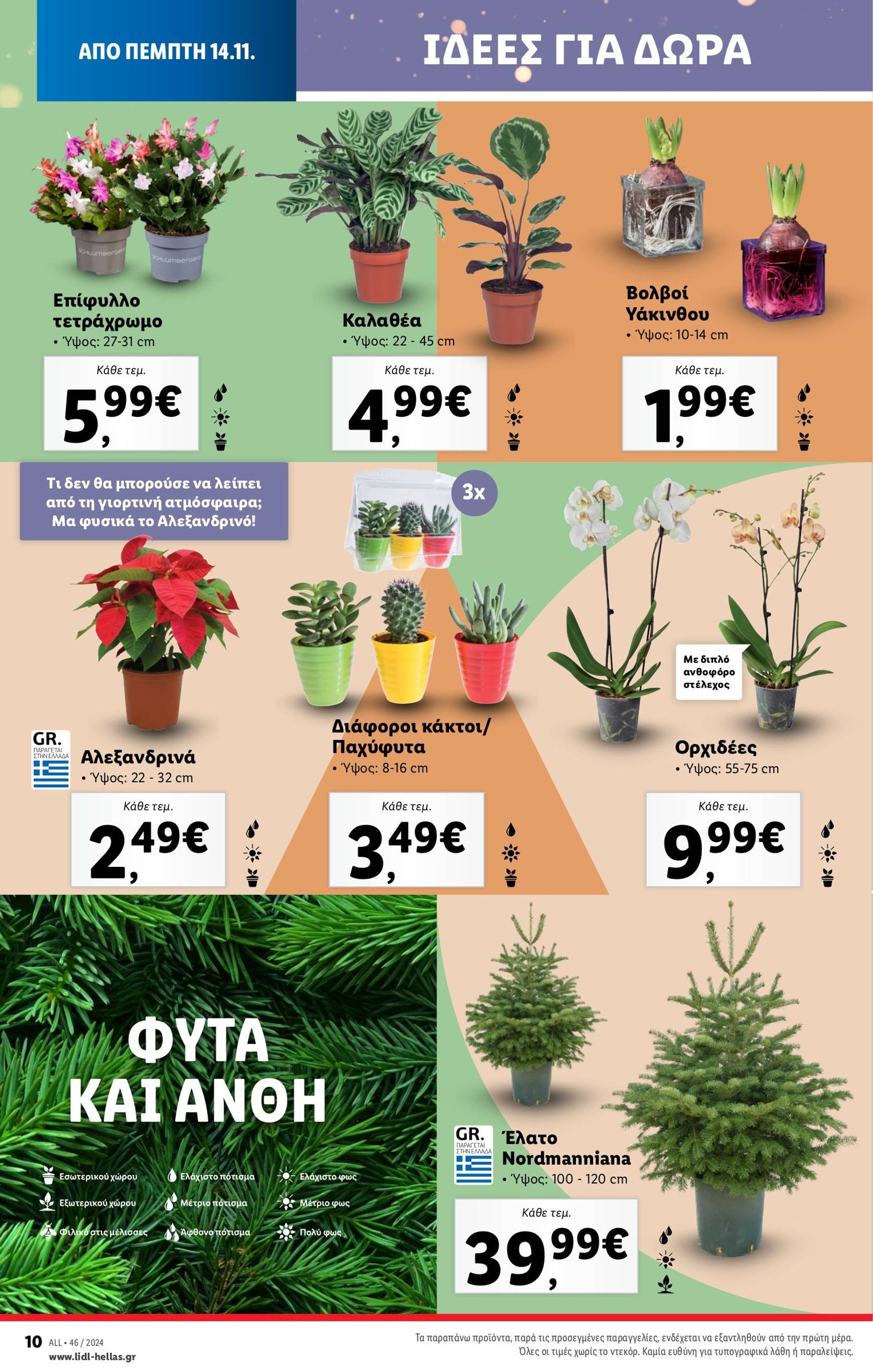 lidl - Lidl φυλλάδιο έγκυρο από 14/11 - 20/11 - page: 42