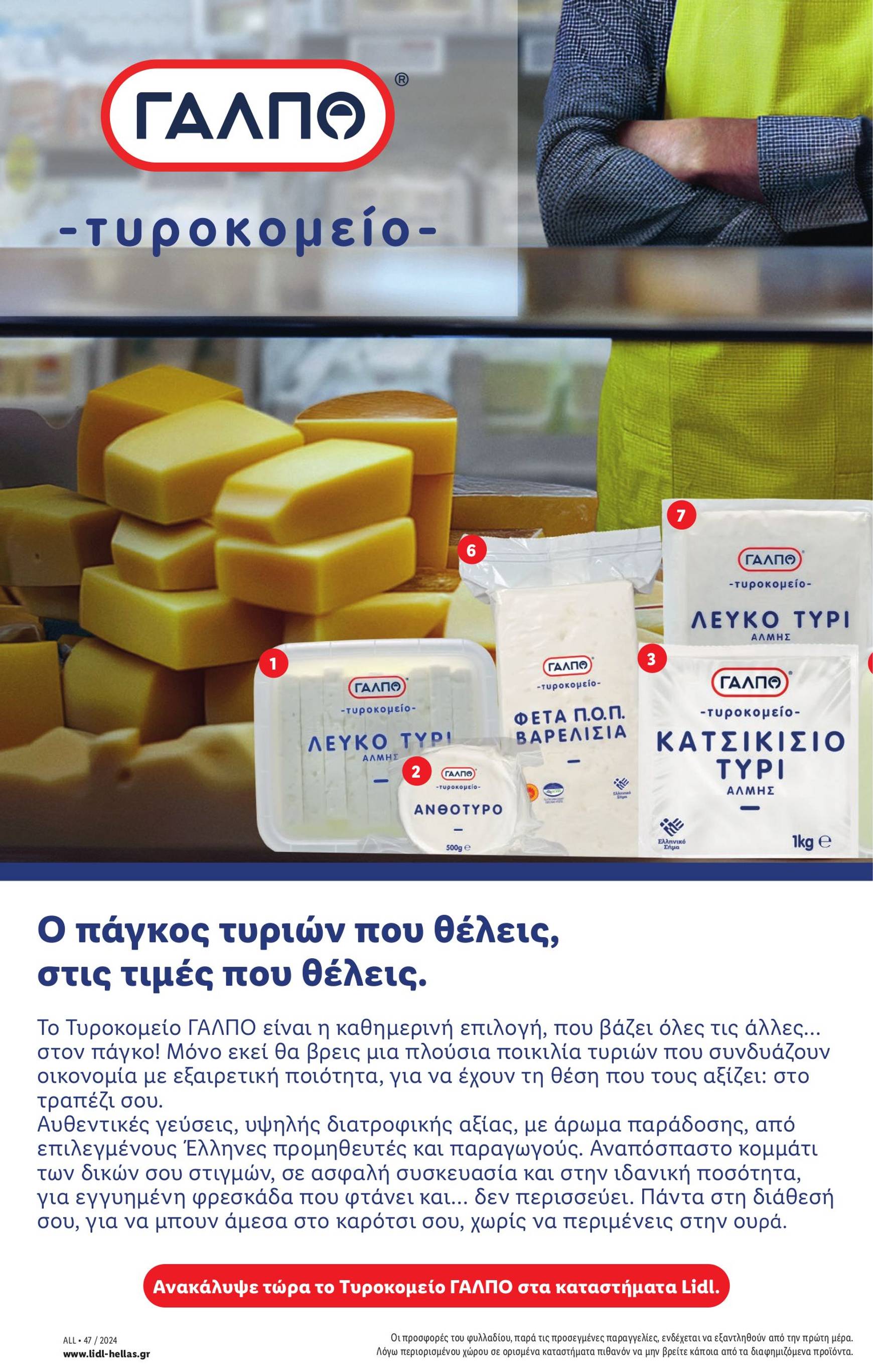 lidl - Lidl φυλλάδιο έγκυρο από 21/11 - 27/11 - page: 10