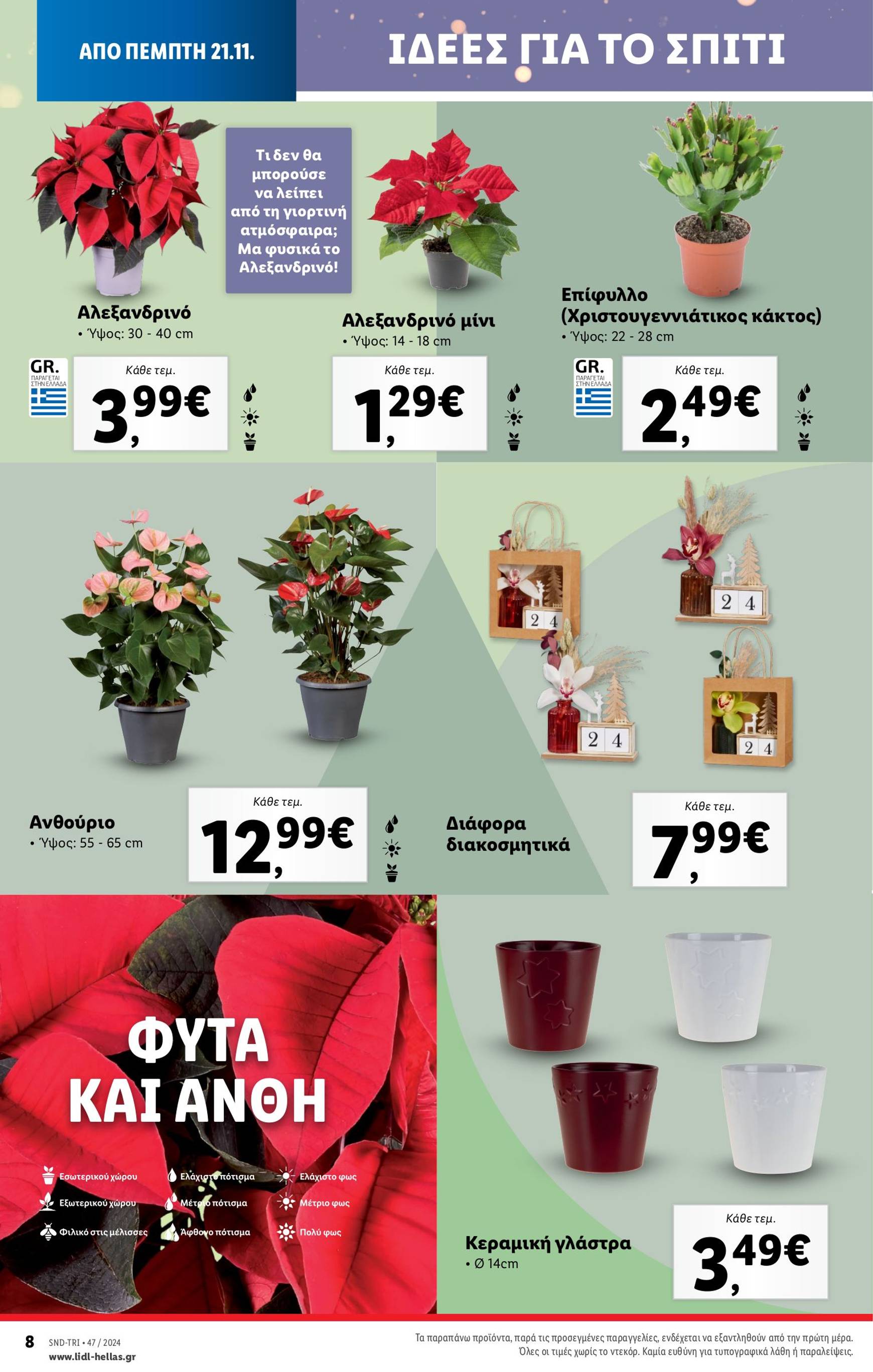 lidl - Lidl φυλλάδιο έγκυρο από 21/11 - 27/11 - page: 38