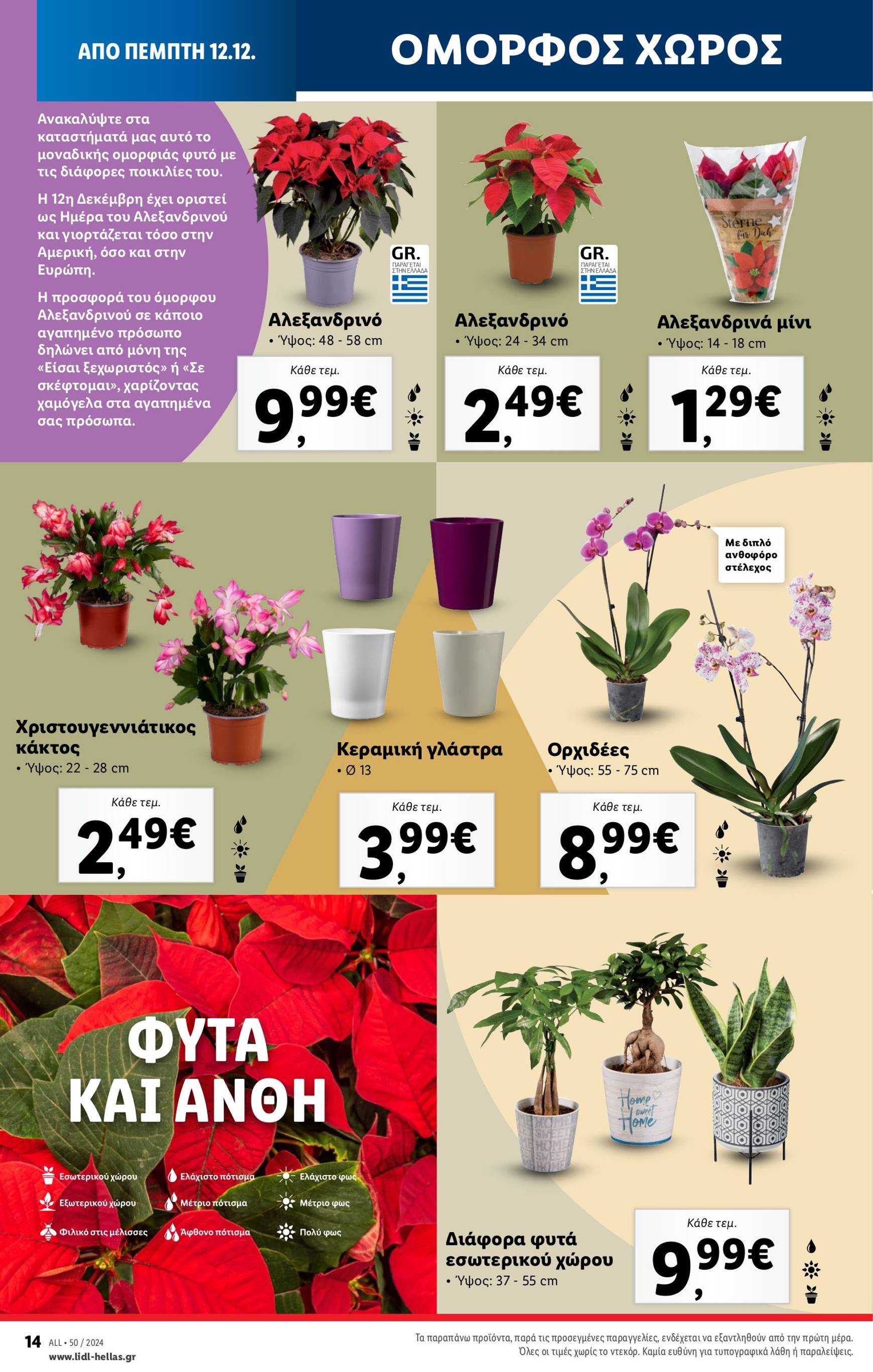 lidl - Lidl φυλλάδιο έγκυρο από 12/12 - 18/12 - page: 49